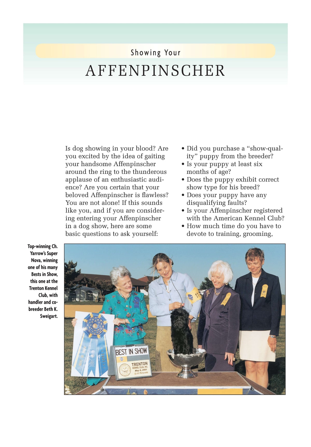 Affenpinscher (Comprehensive Owners Guide)