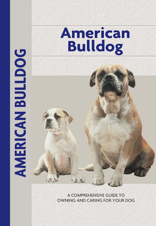 American Bulldog (Comprehensive Owners Guide)