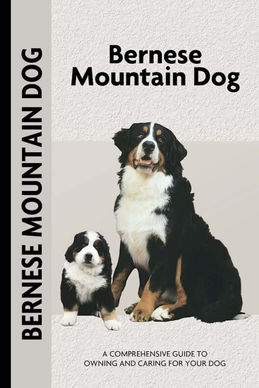 Bernese Mountain Dog (Comprehensive Owners Guide)