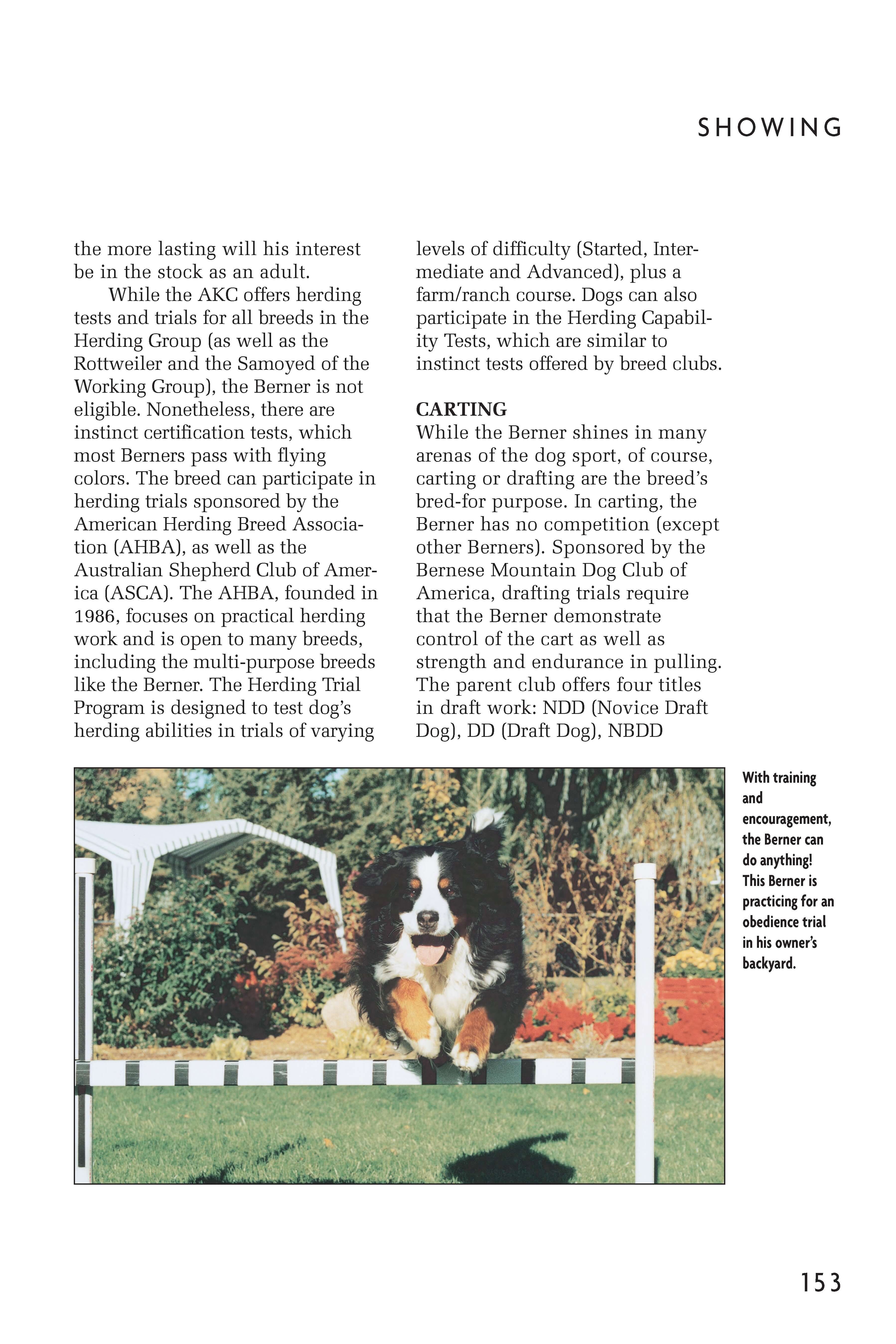 Bernese Mountain Dog (Comprehensive Owner's Guide)