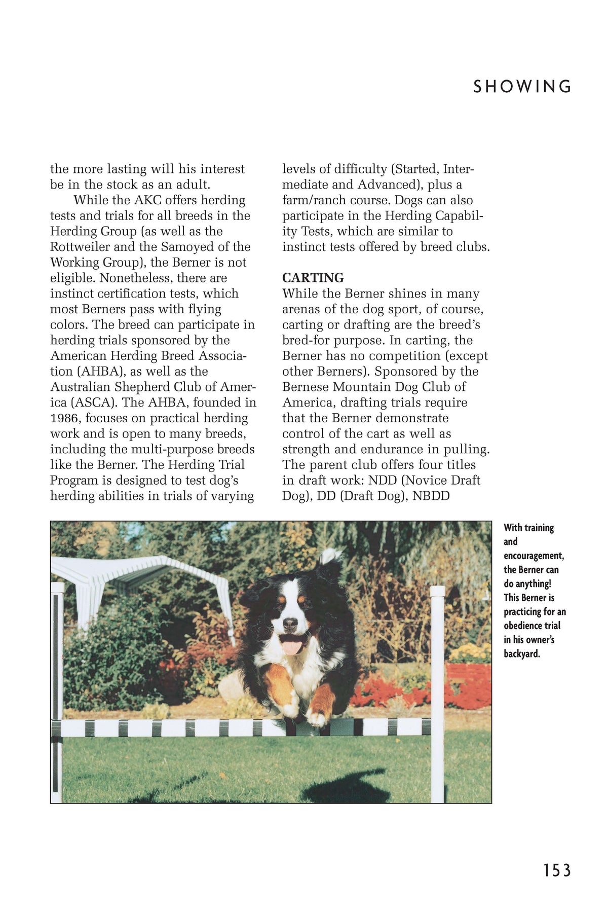 Bernese Mountain Dog (Comprehensive Owners Guide)