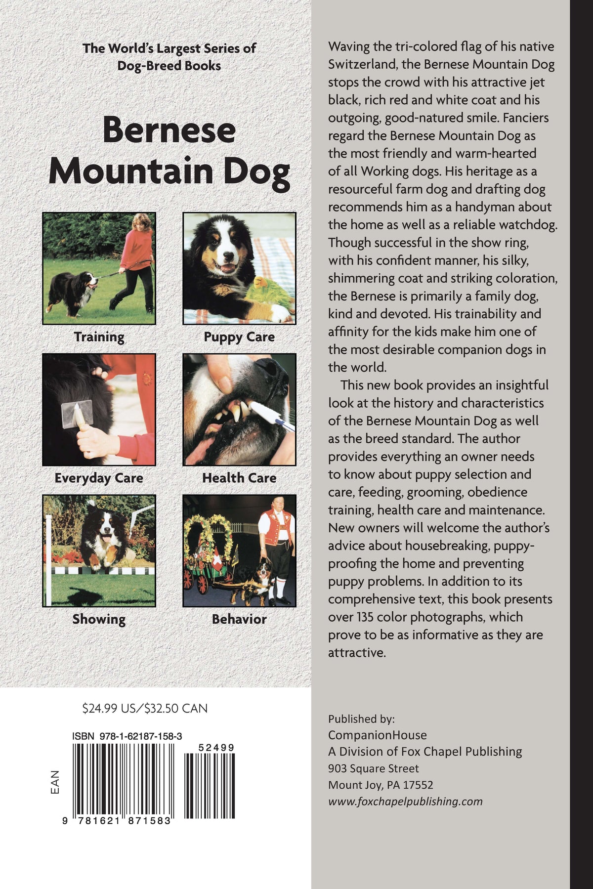 Bernese Mountain Dog (Comprehensive Owners Guide)