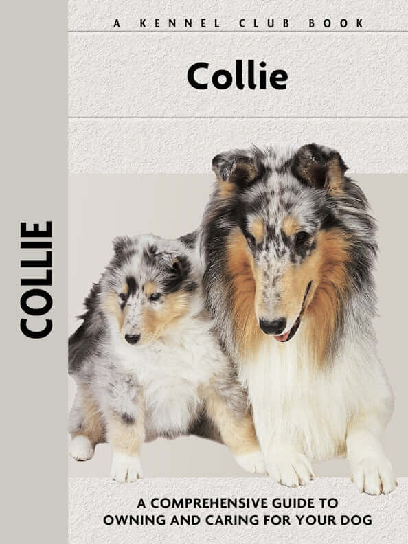 Collie (Comprehensive Owners Guide)