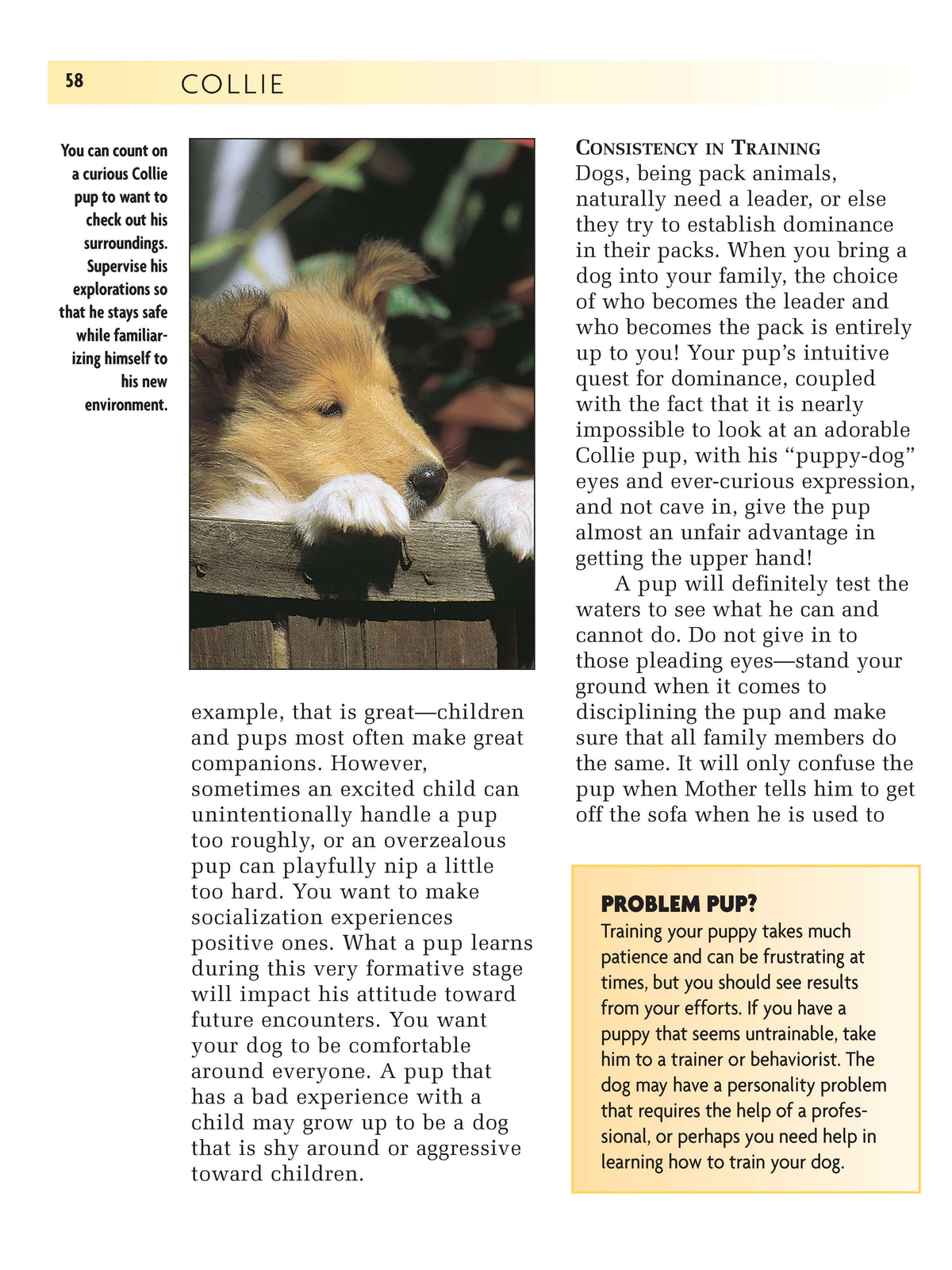 Collie (Comprehensive Owners Guide)