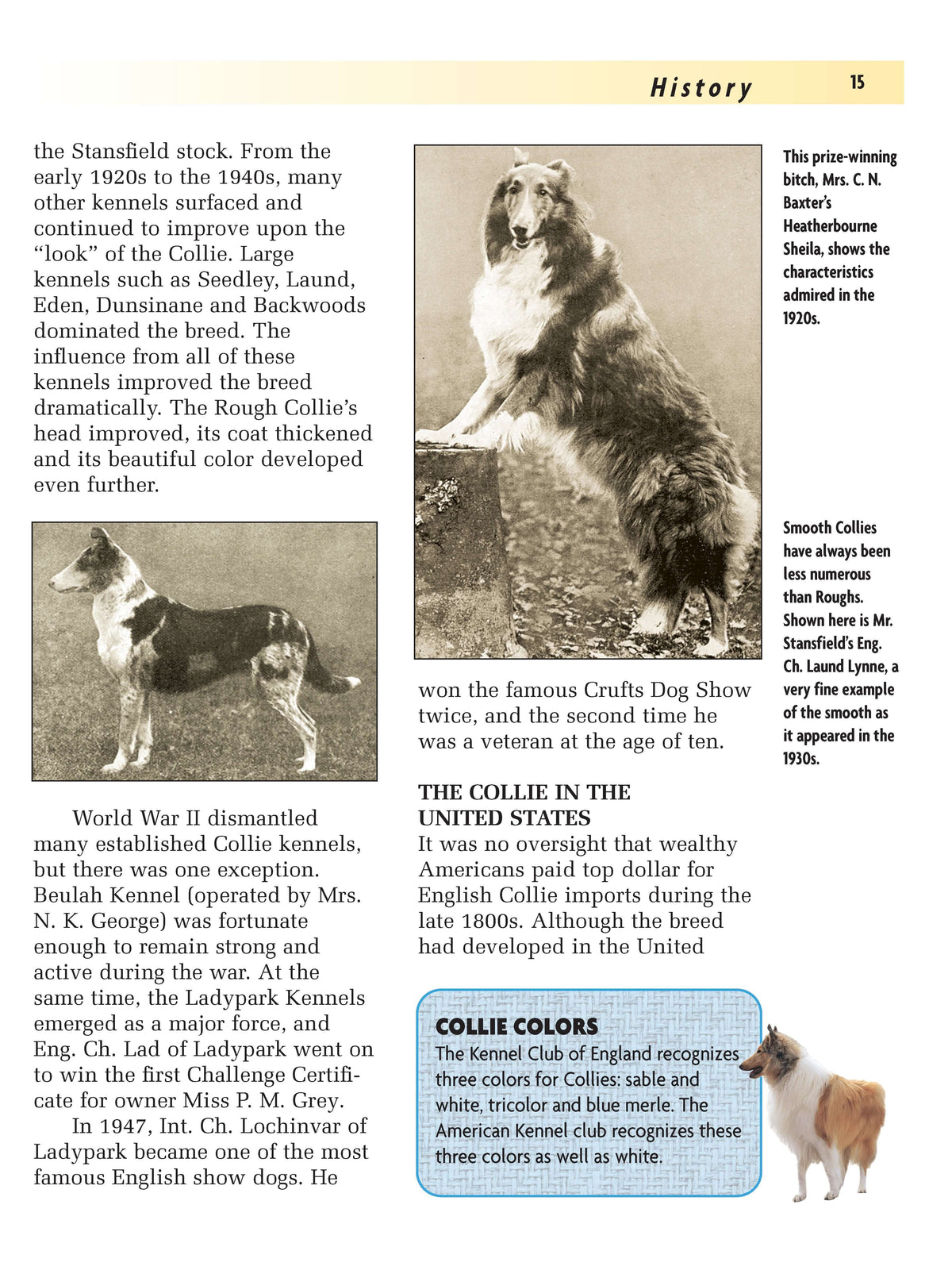 Collie (Comprehensive Owners Guide)