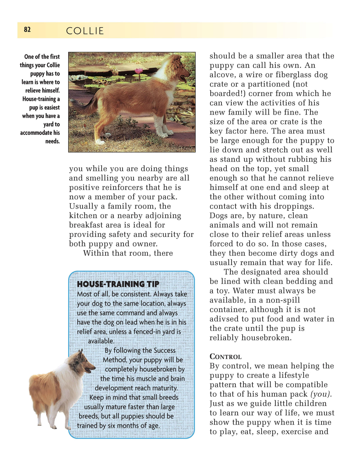 Collie (Comprehensive Owners Guide)