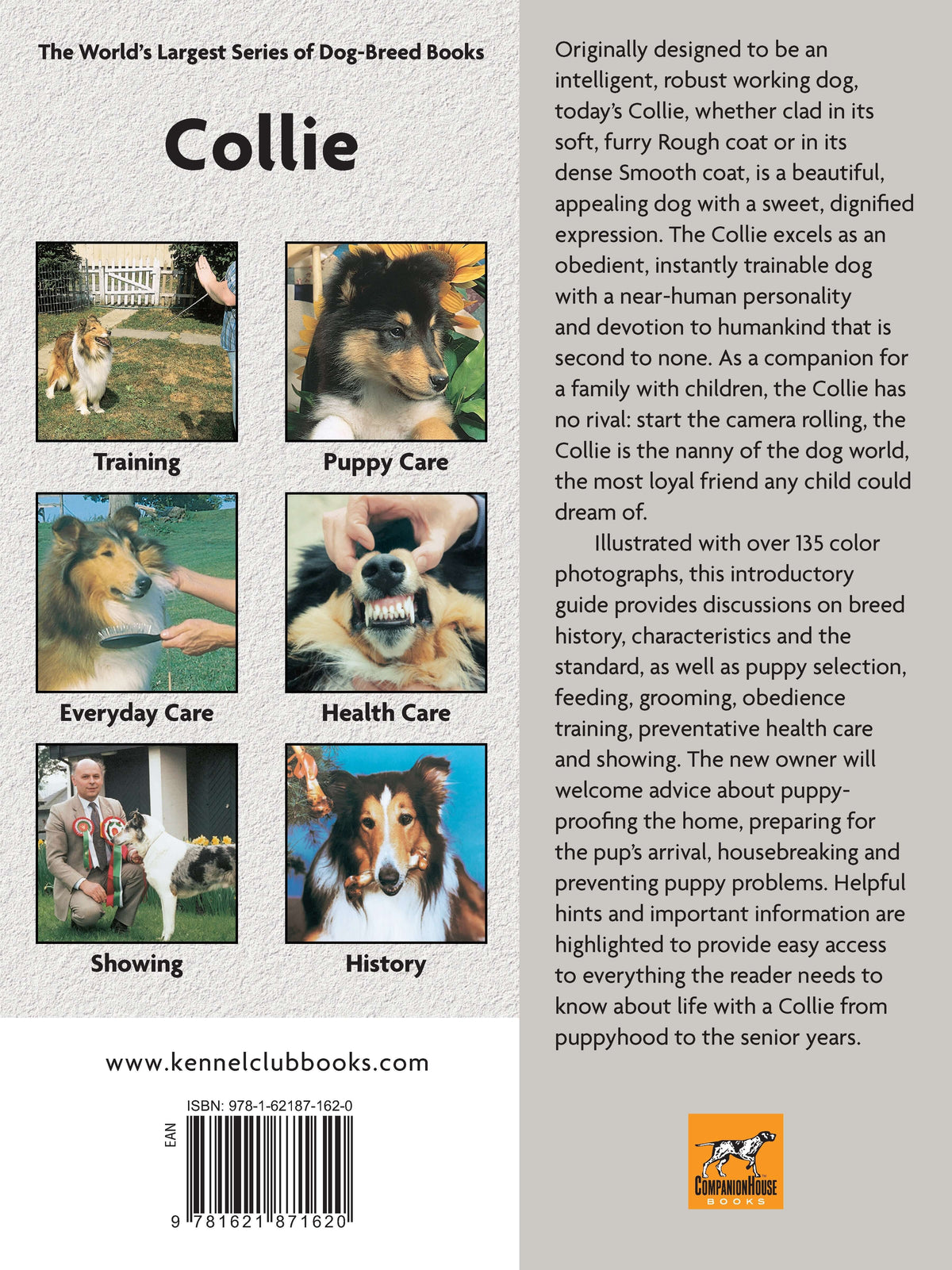 Collie (Comprehensive Owners Guide)