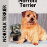 Norfolk Terrier (Comprehensive Owner's Guide)