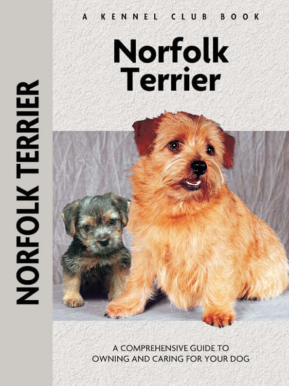 Norfolk Terrier (Comprehensive Owners Guide)