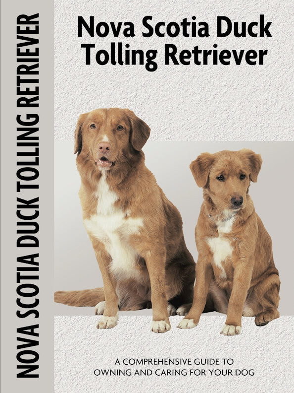Nova Scotia Duck Tolling Retriever (Comprehensive Owners Guide)