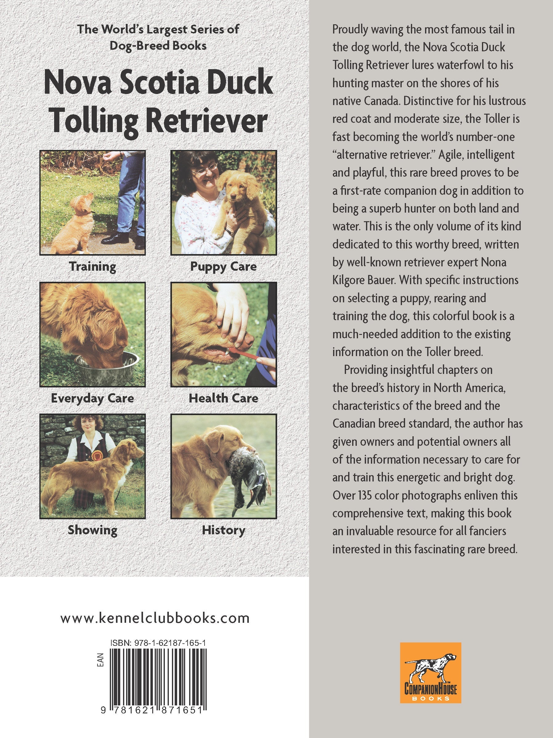 Nova Scotia Duck Tolling Retriever (Comprehensive Owners Guide)