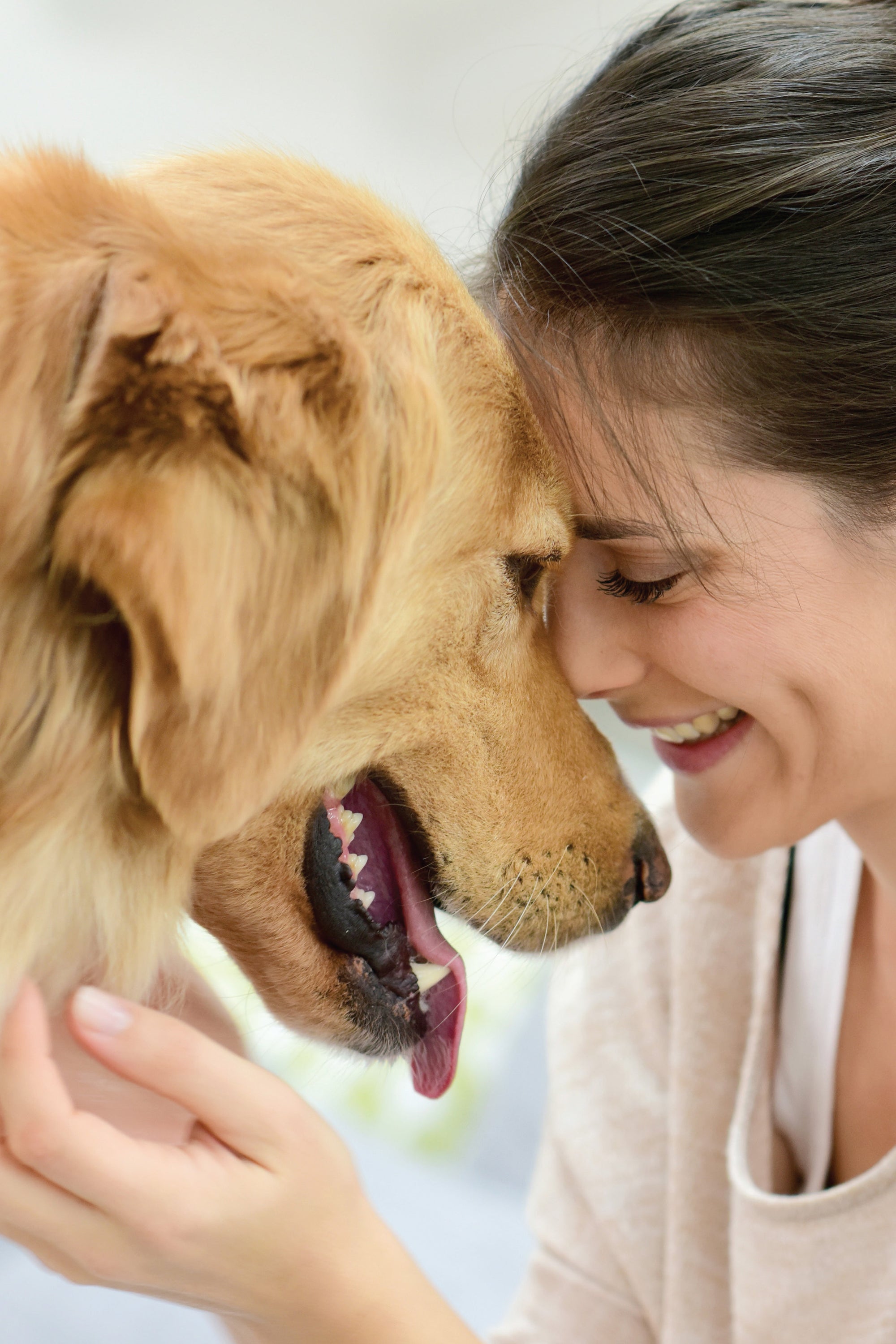 The Dogs Guide to Your Happiness