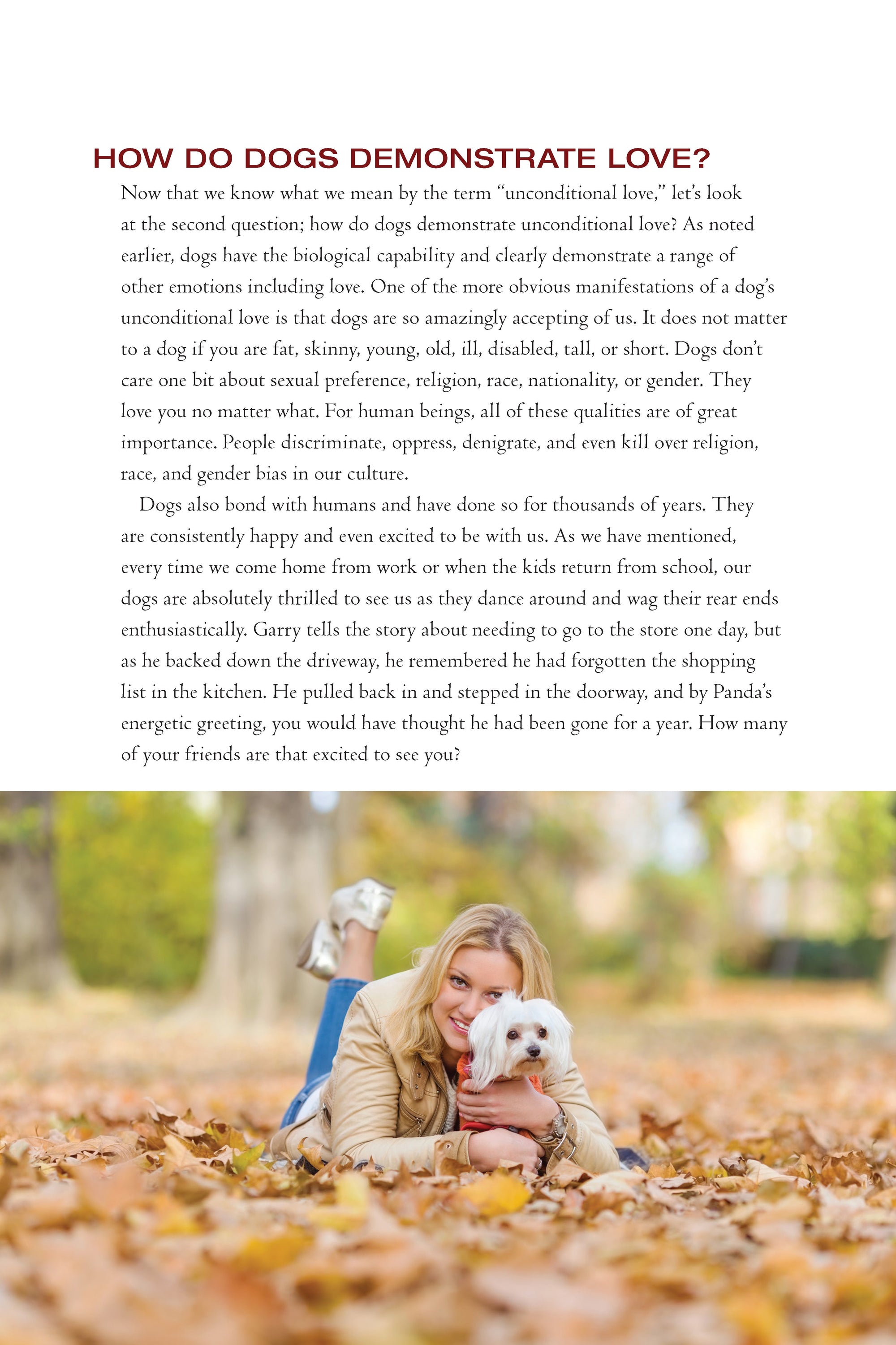The Dogs Guide to Your Happiness