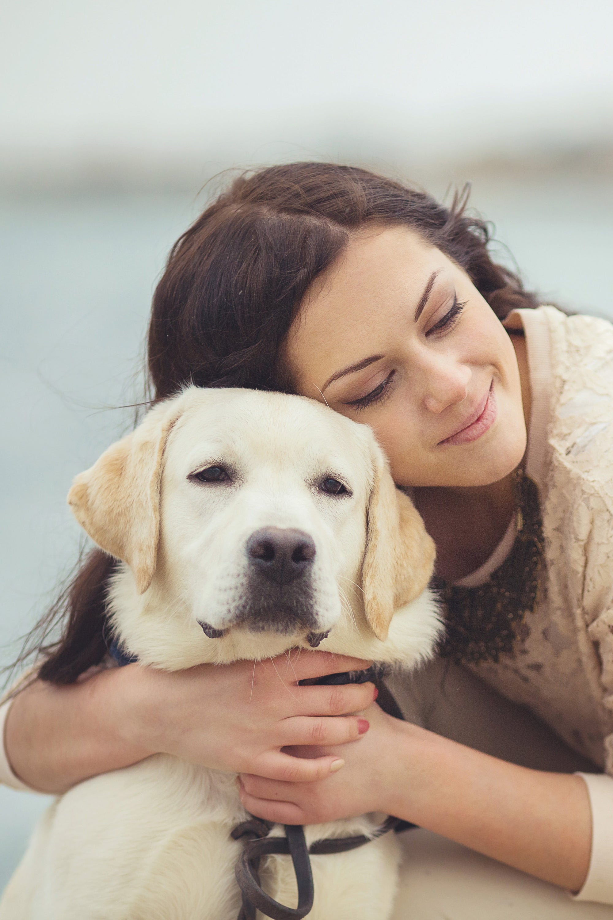 The Dogs Guide to Your Happiness
