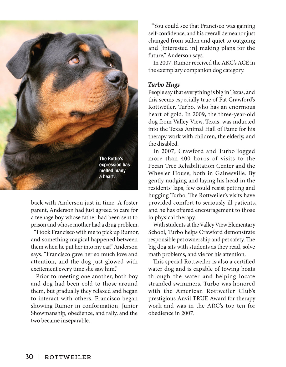 Inside Rottweiler – Paperback / softback, ISBN 9781621872306