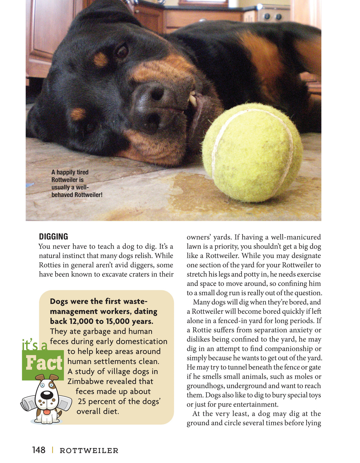 Inside Rottweiler – Paperback / softback, ISBN 9781621872306