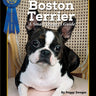 Boston Terrier