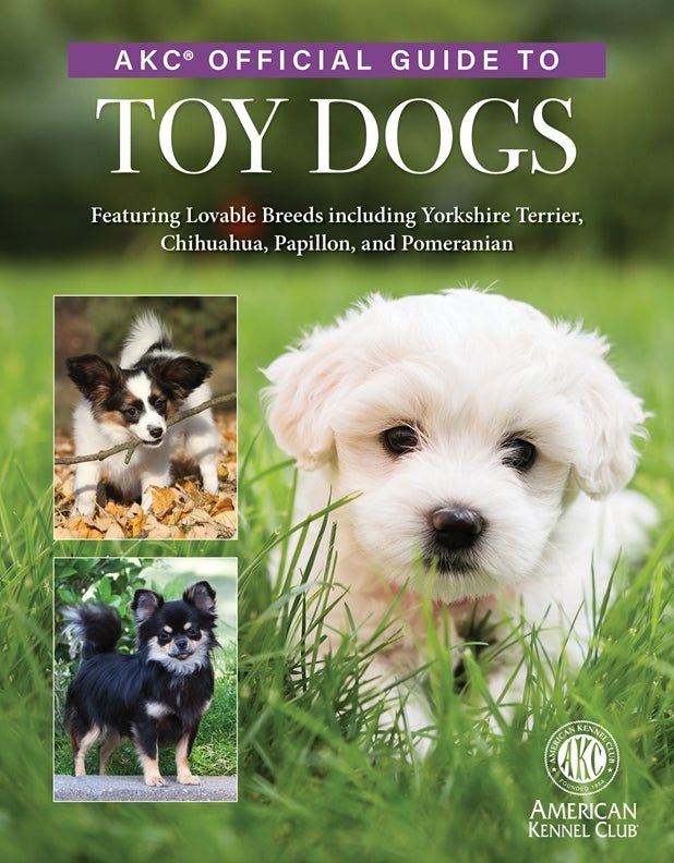 Cover of AKC Official Guide to Toy Dogs – Hardback, ISBN 9781621872436