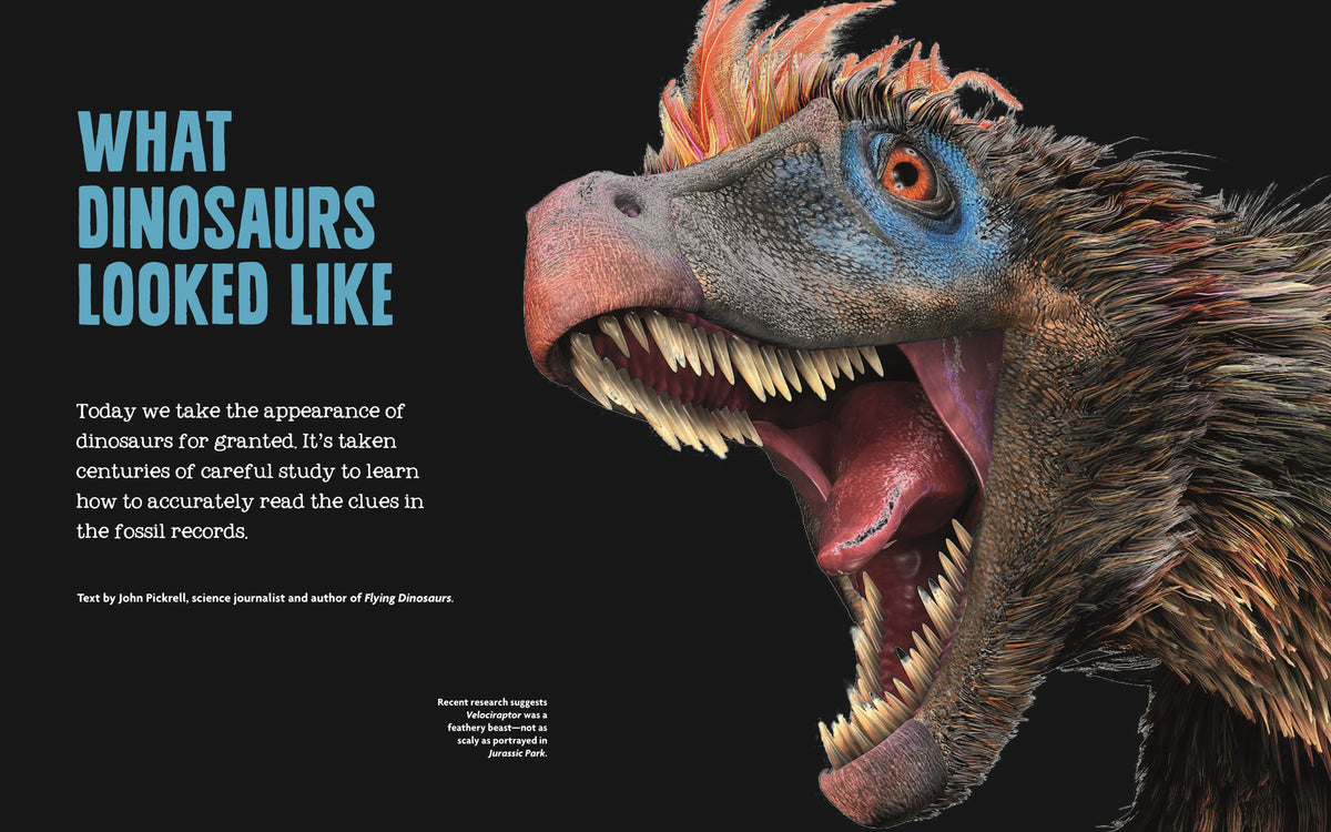 Inside Dinosaurs – Hardback, ISBN 9781641240451
