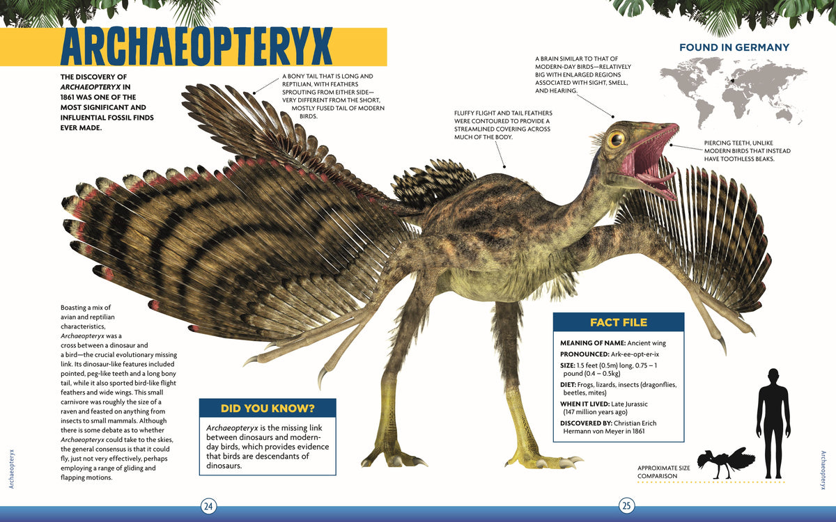 Inside Dinosaurs – Hardback, ISBN 9781641240451