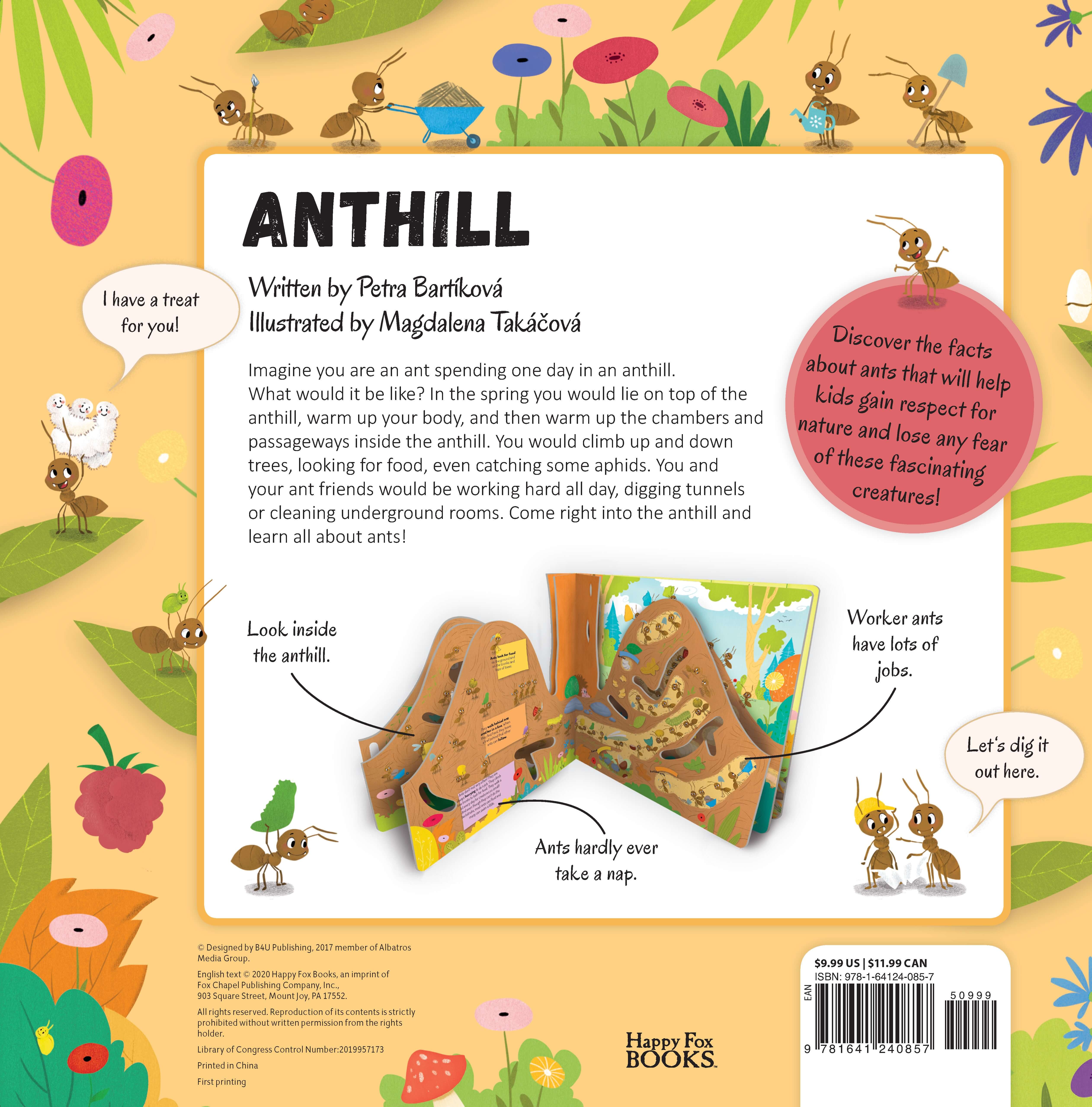 Discovering the Active World of the Anthill
