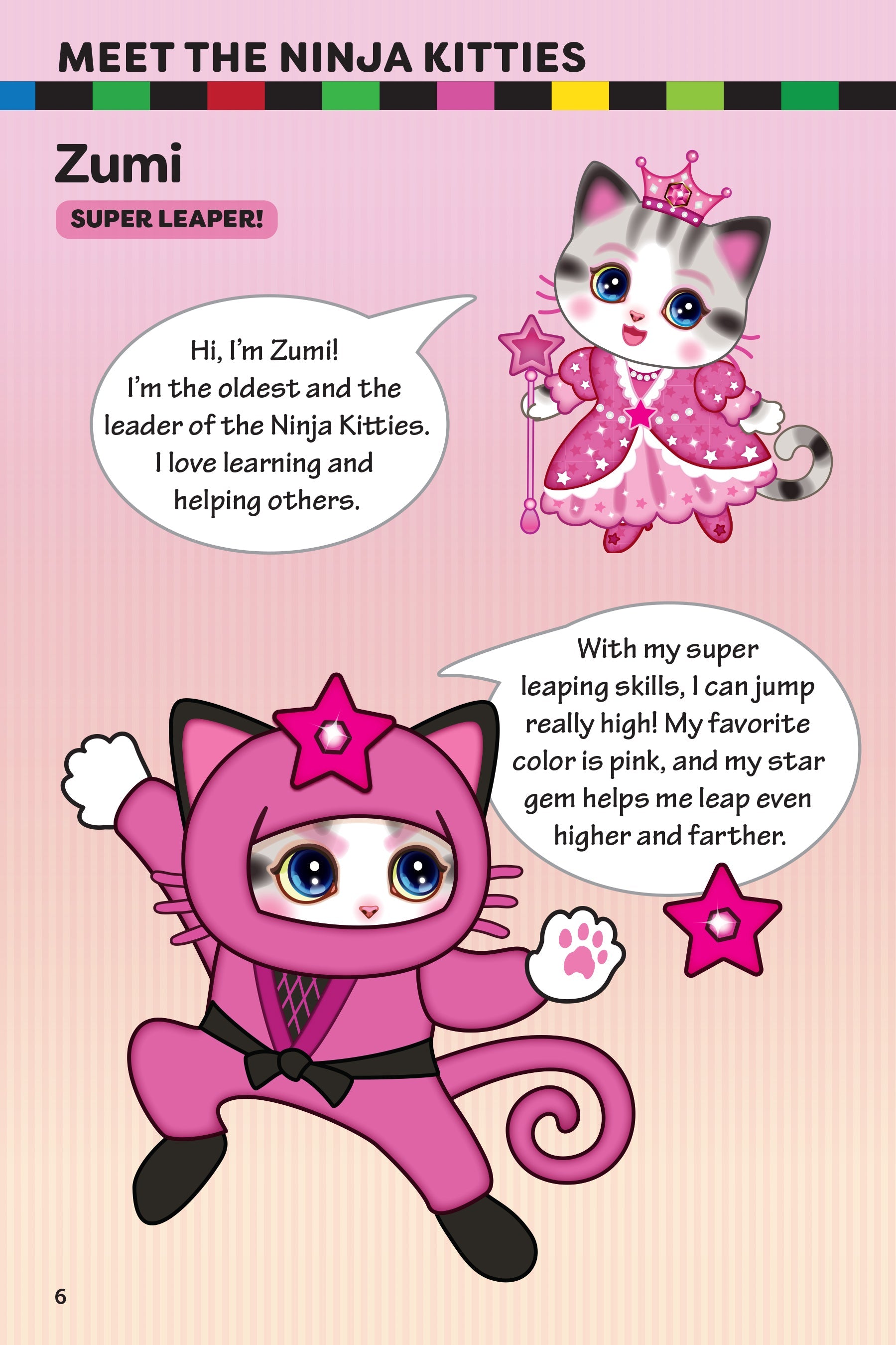 Ninja Kitties Trouble at the Bridge