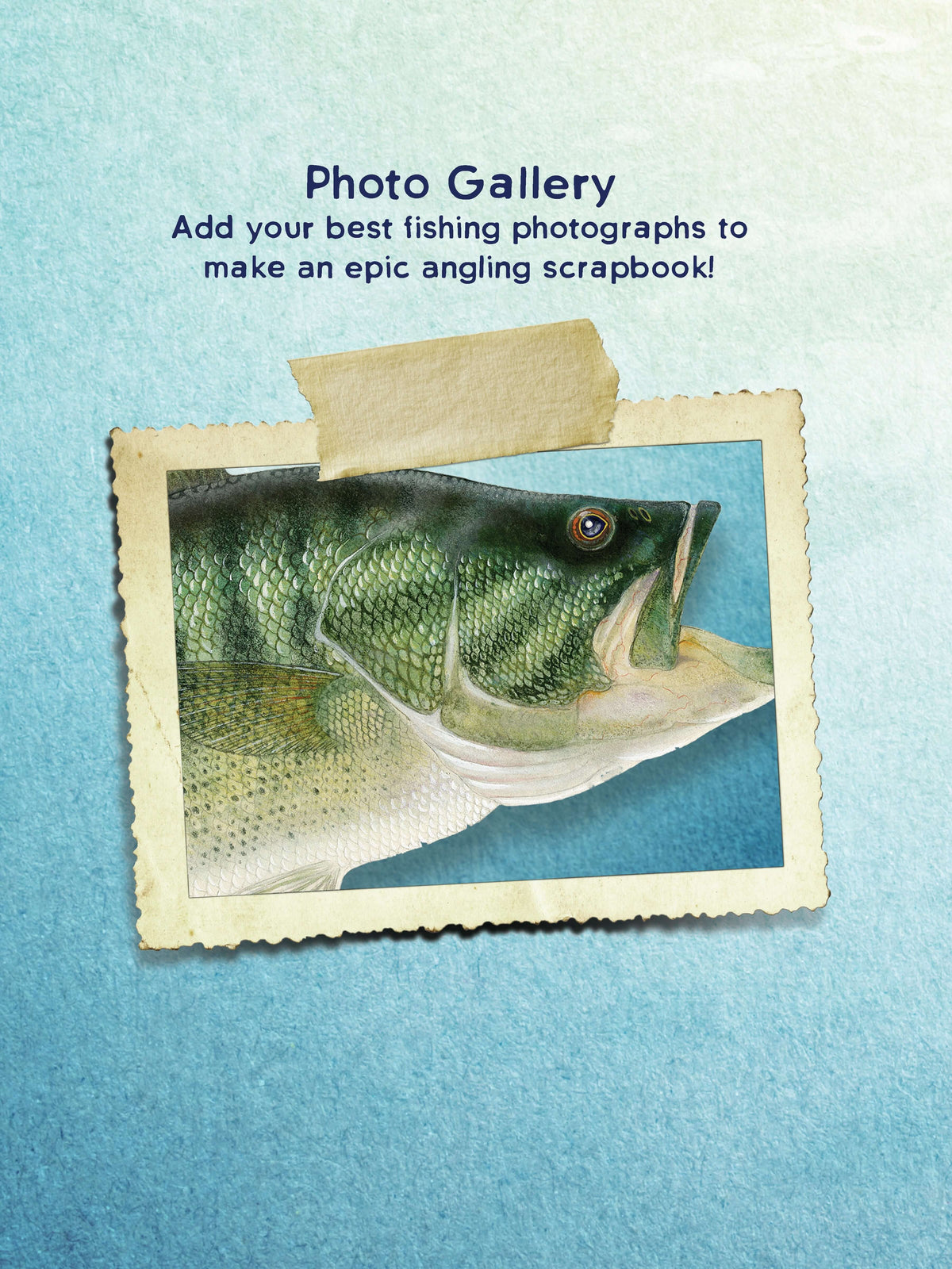 An Anglers Journal