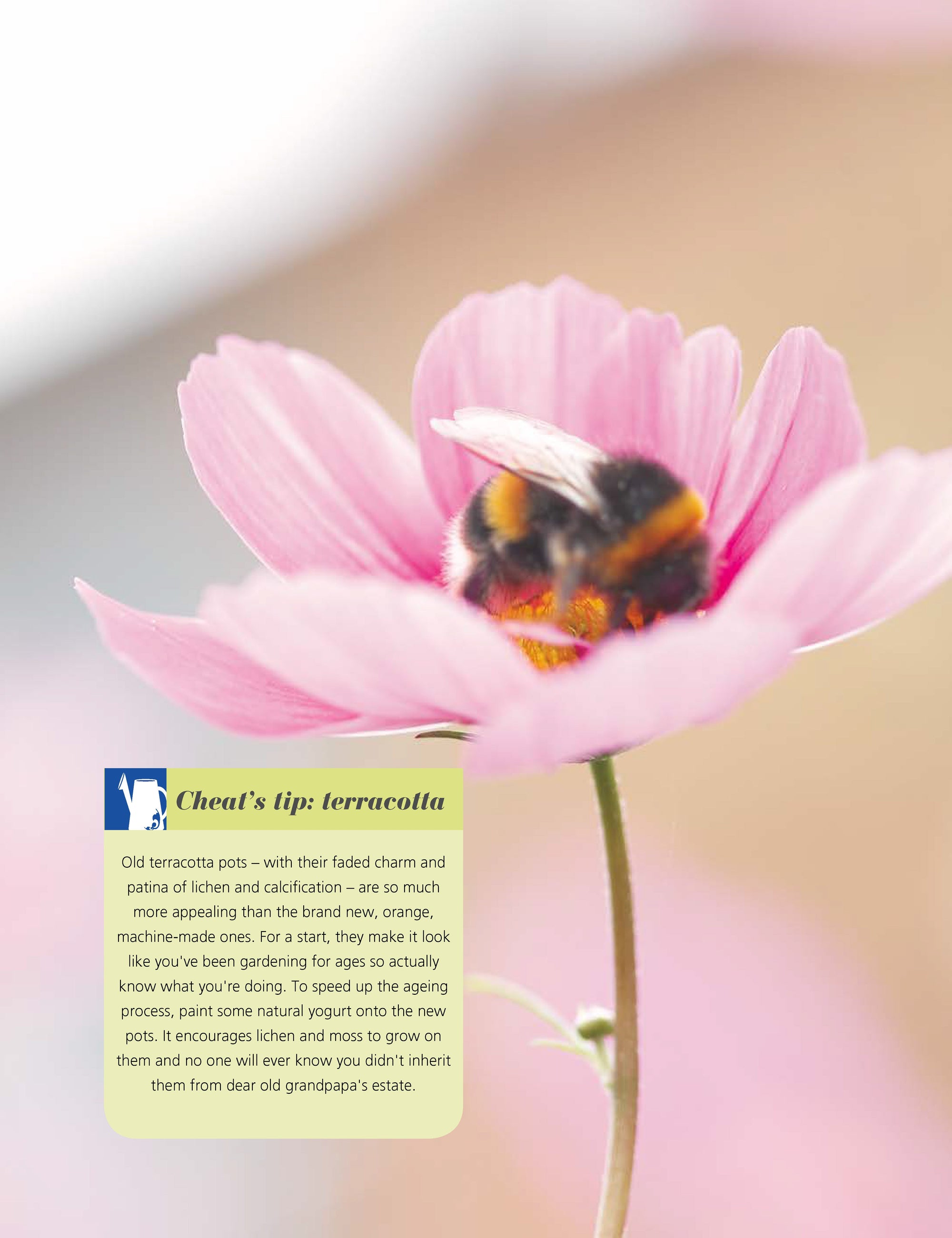 Girls Guide to Growing Your Own, The
