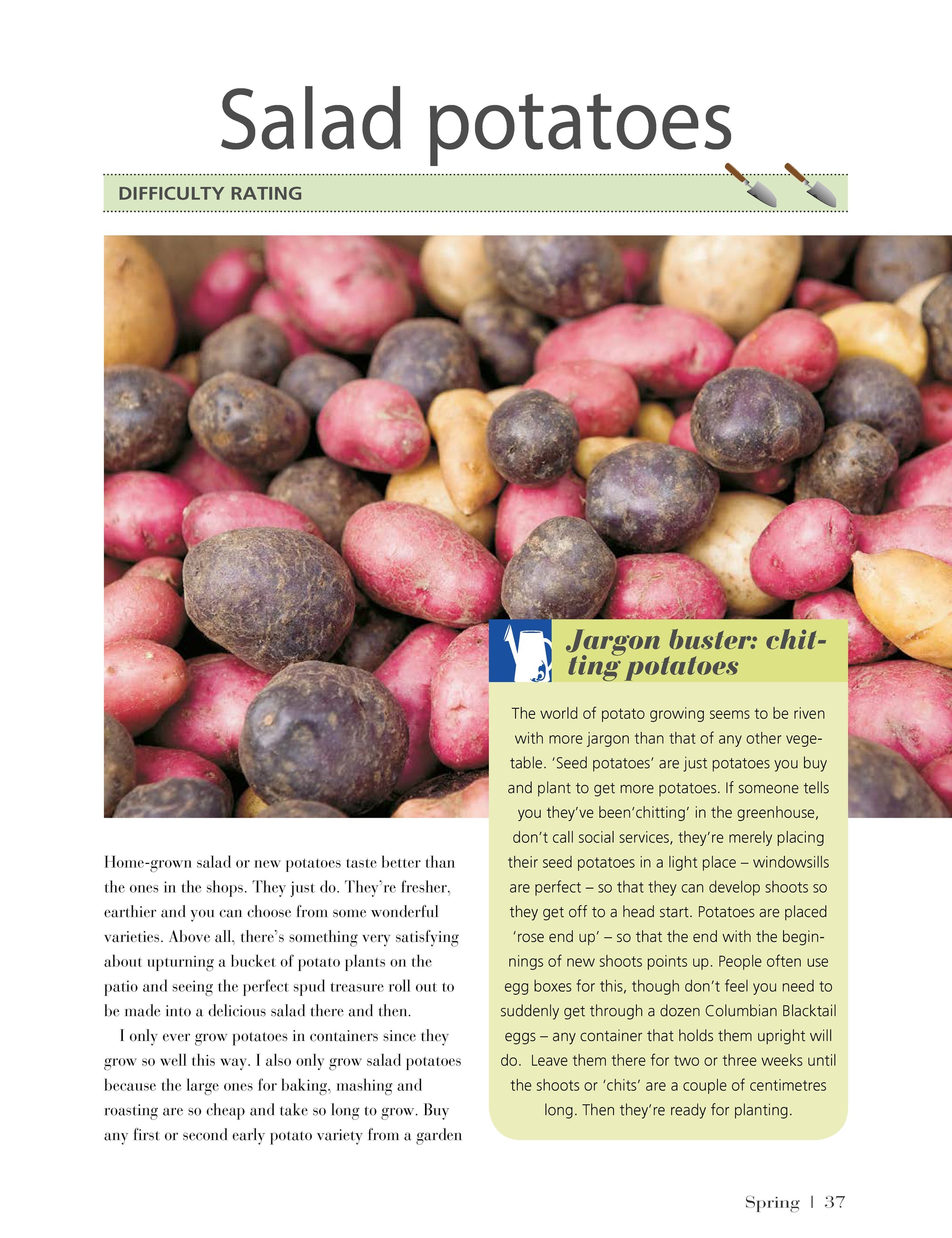 Girls Guide to Growing Your Own, The