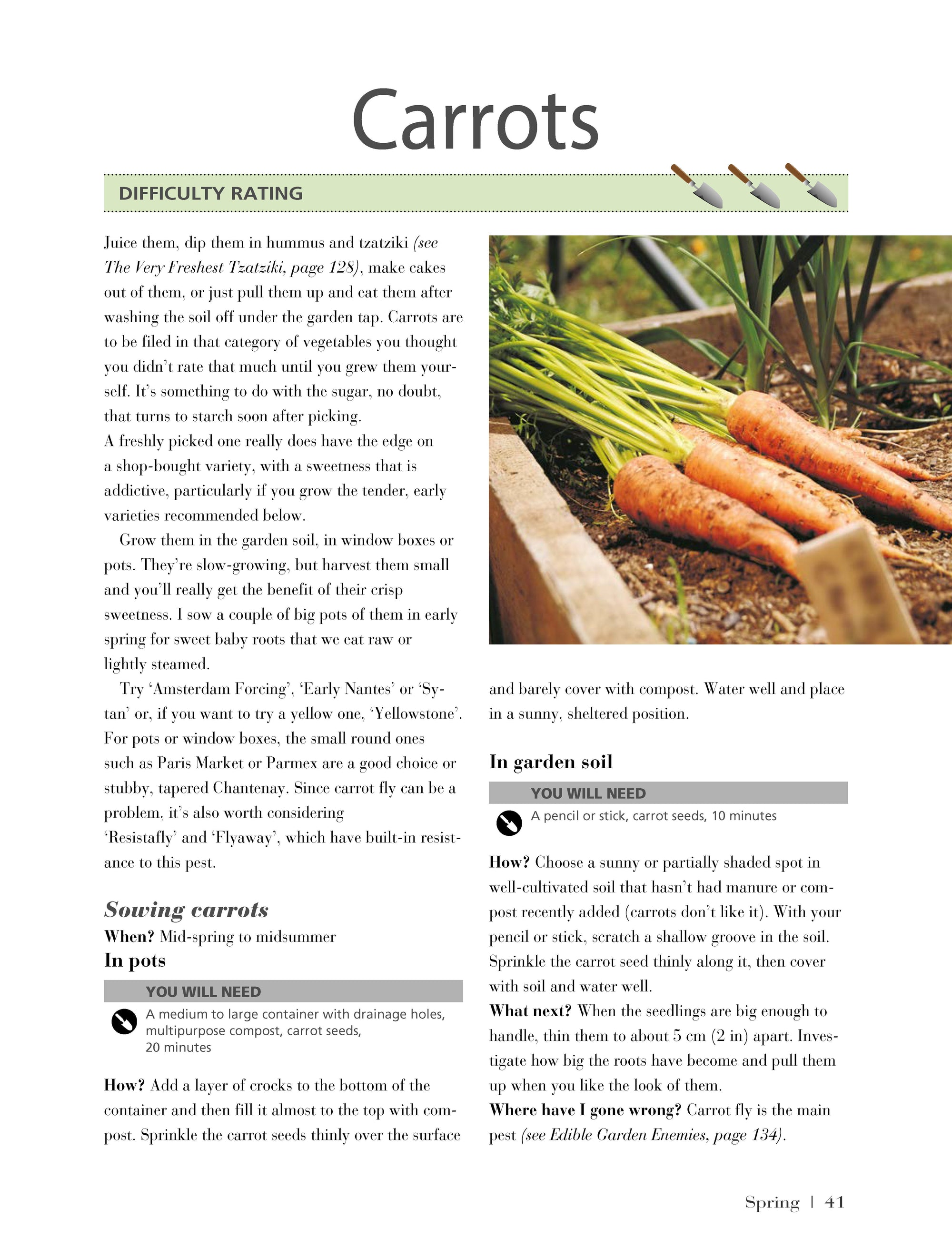 Girls Guide to Growing Your Own, The