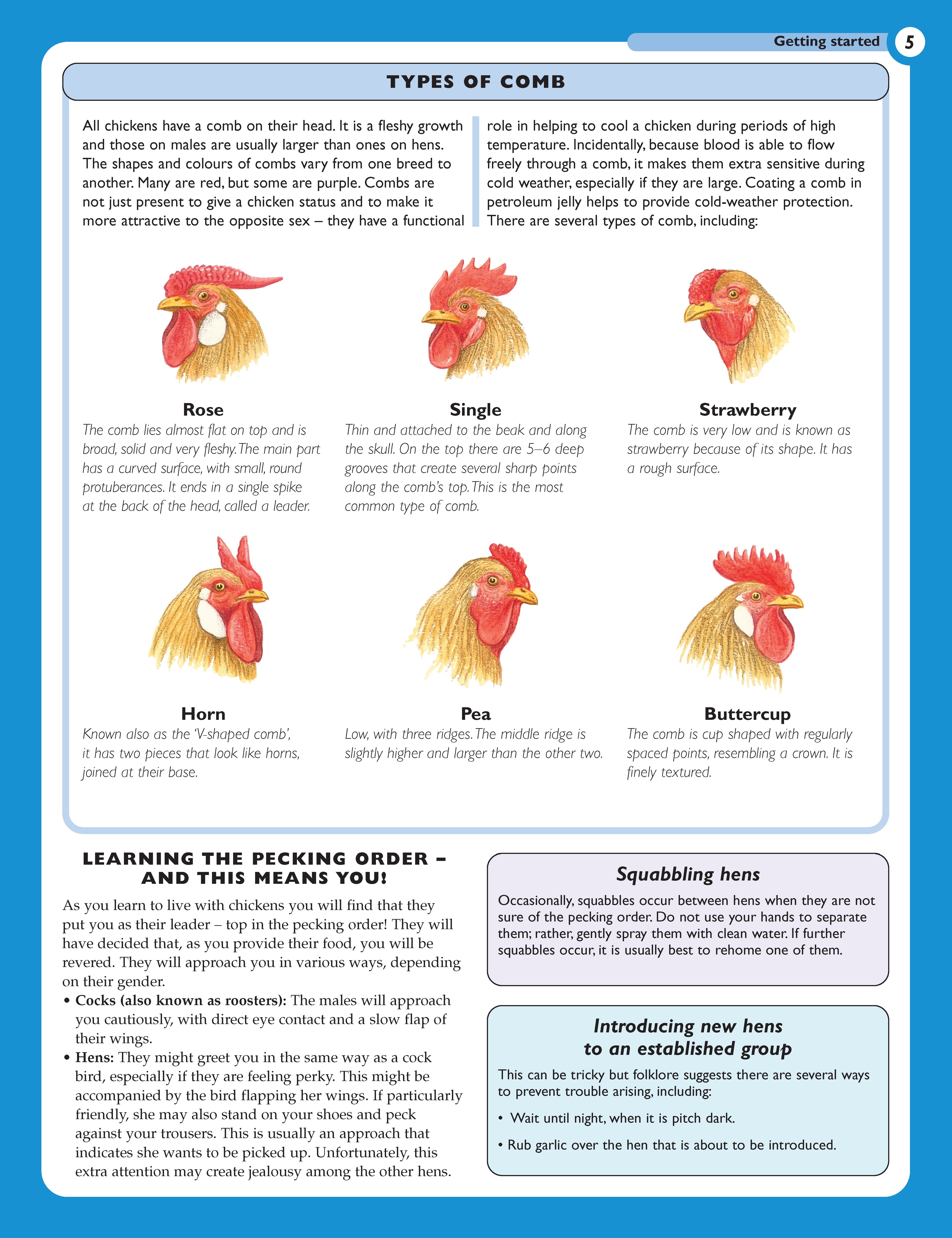 The Henkeeping Specialist