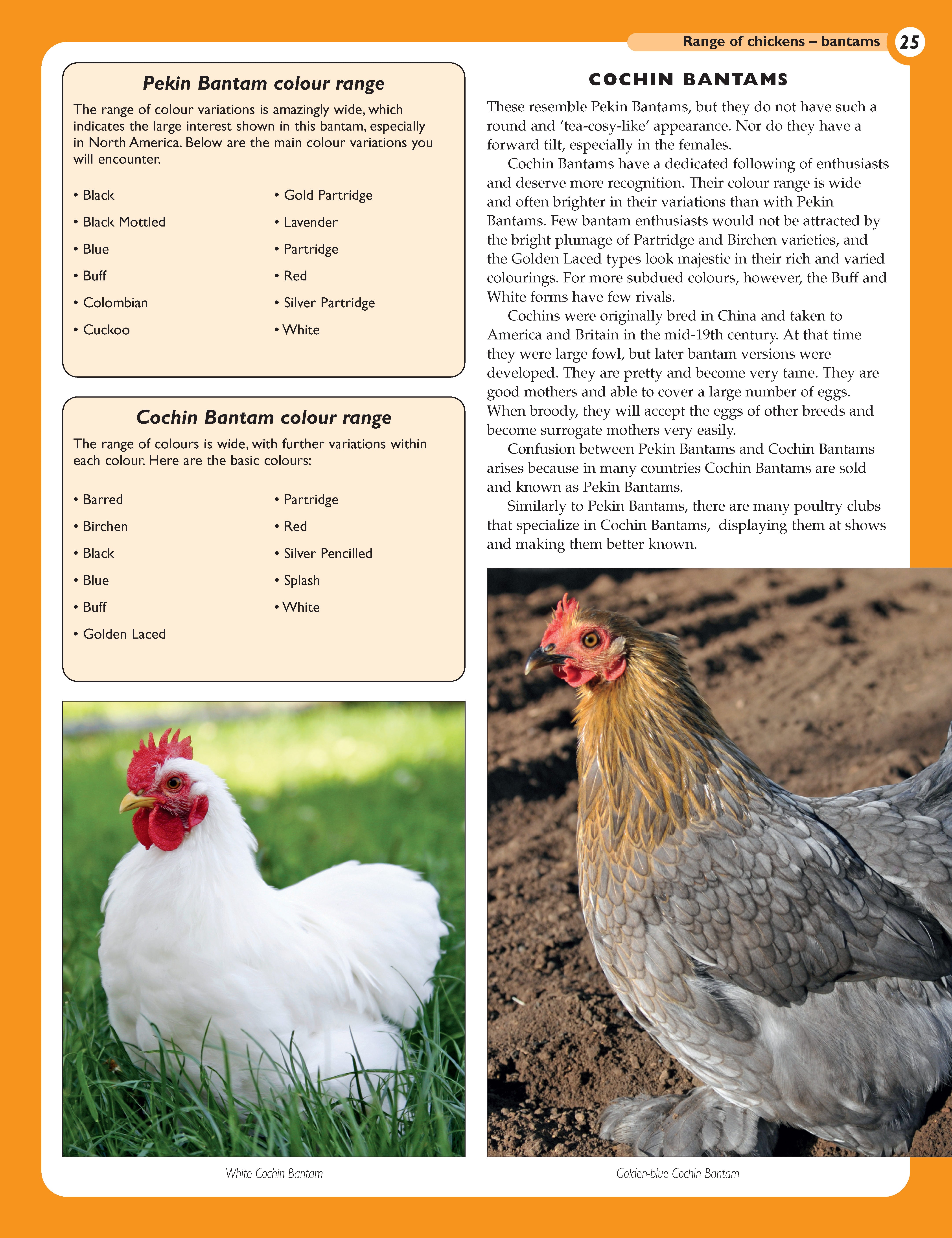 The Henkeeping Specialist