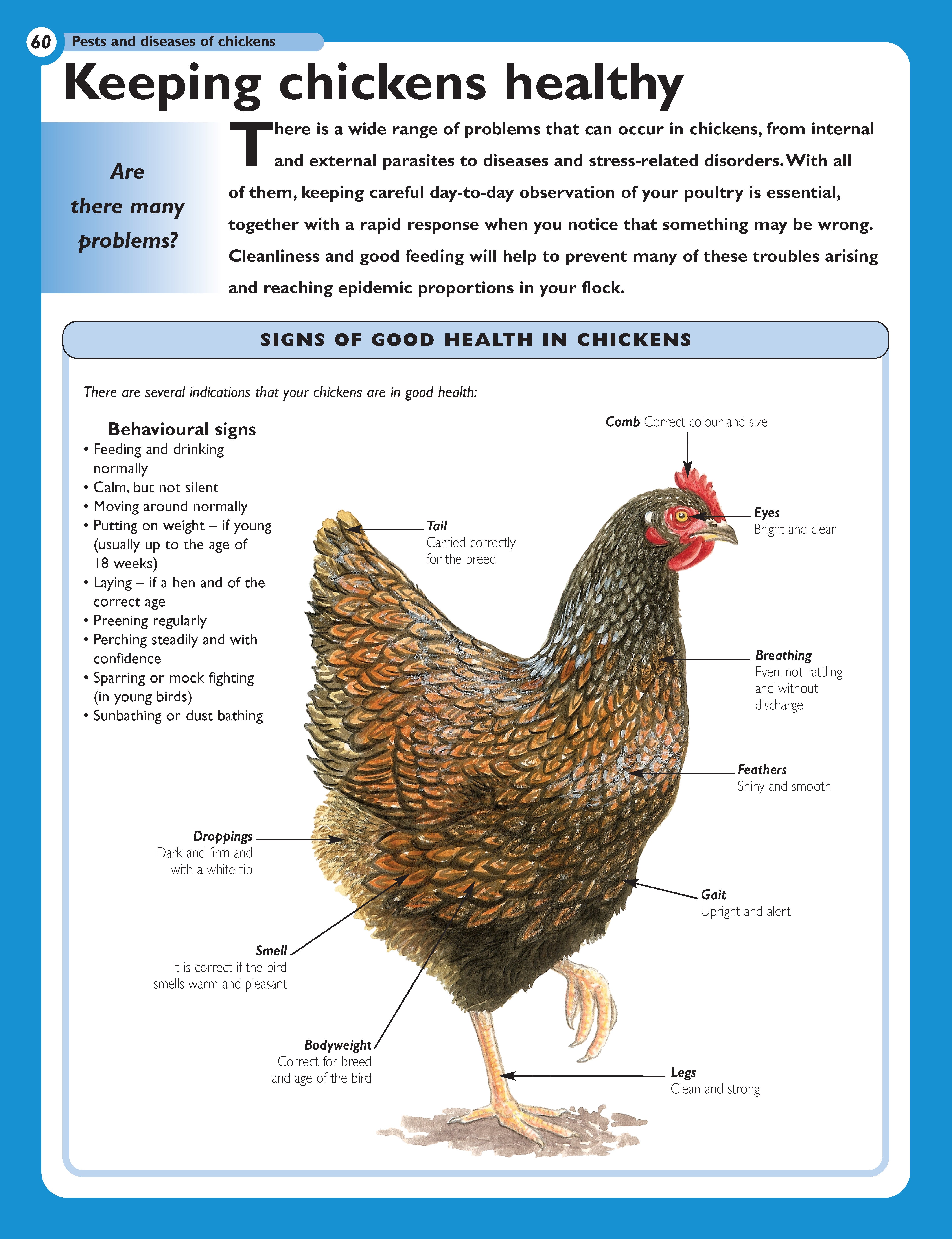 The Henkeeping Specialist