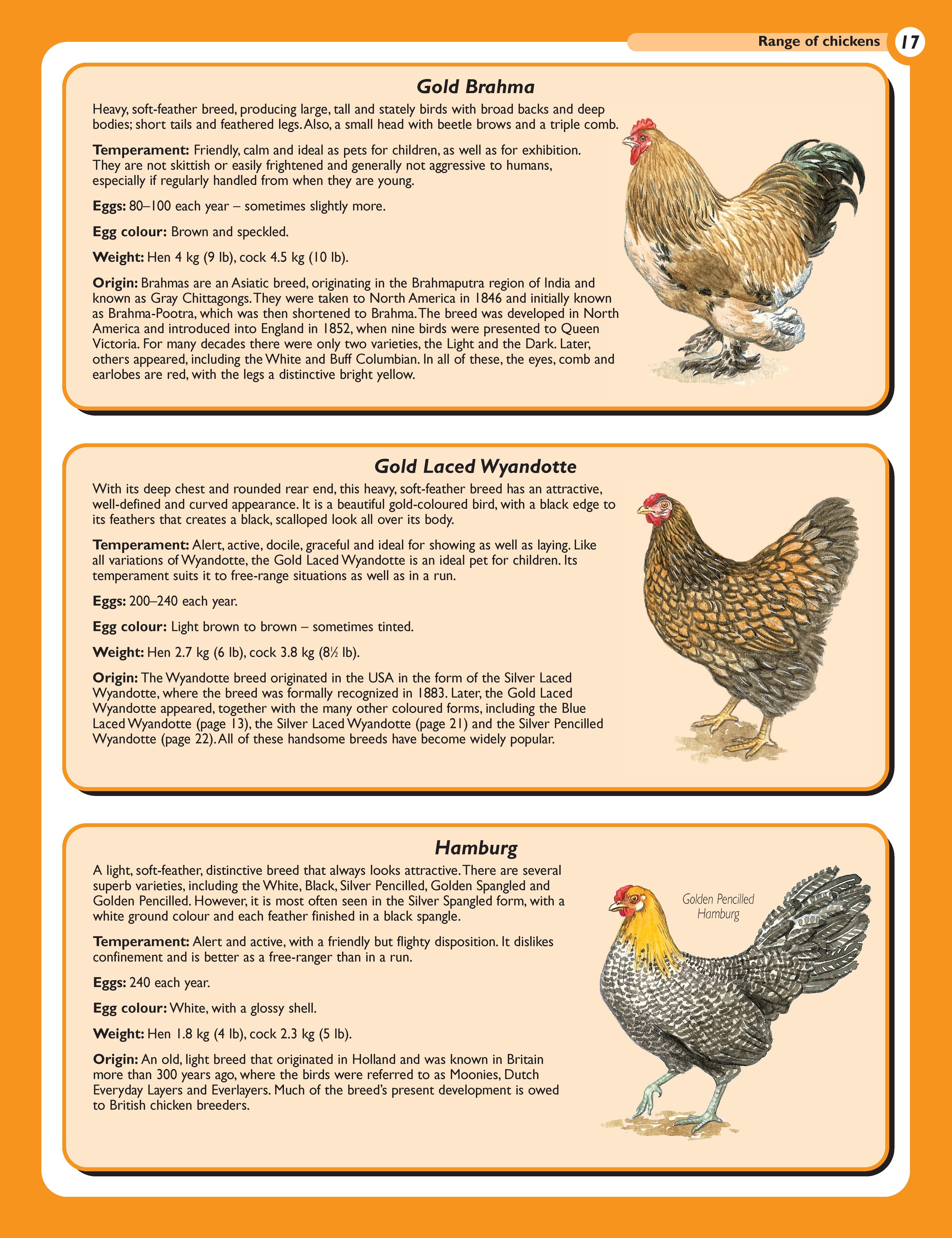 The Henkeeping Specialist