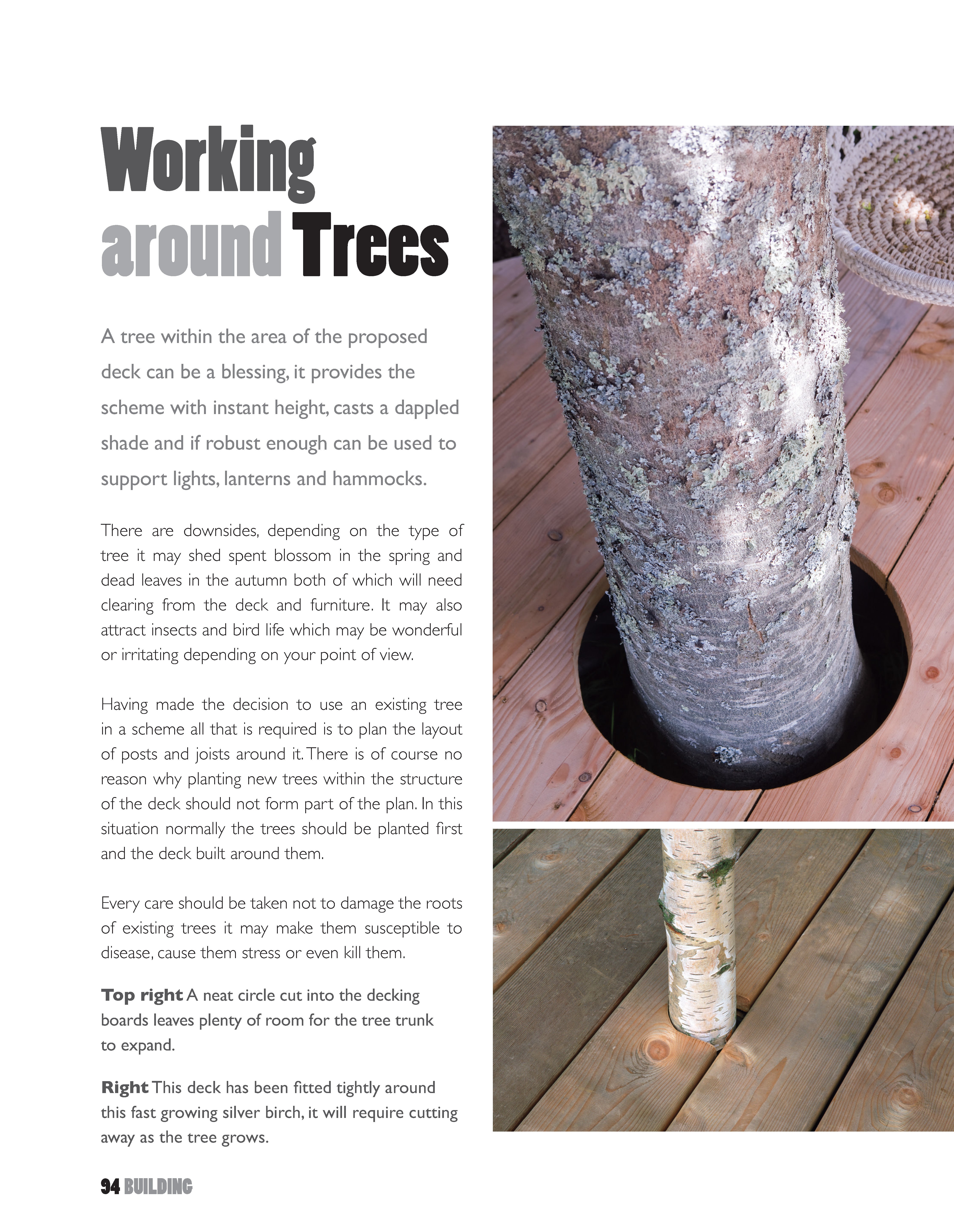 Outdoor Design: Decking