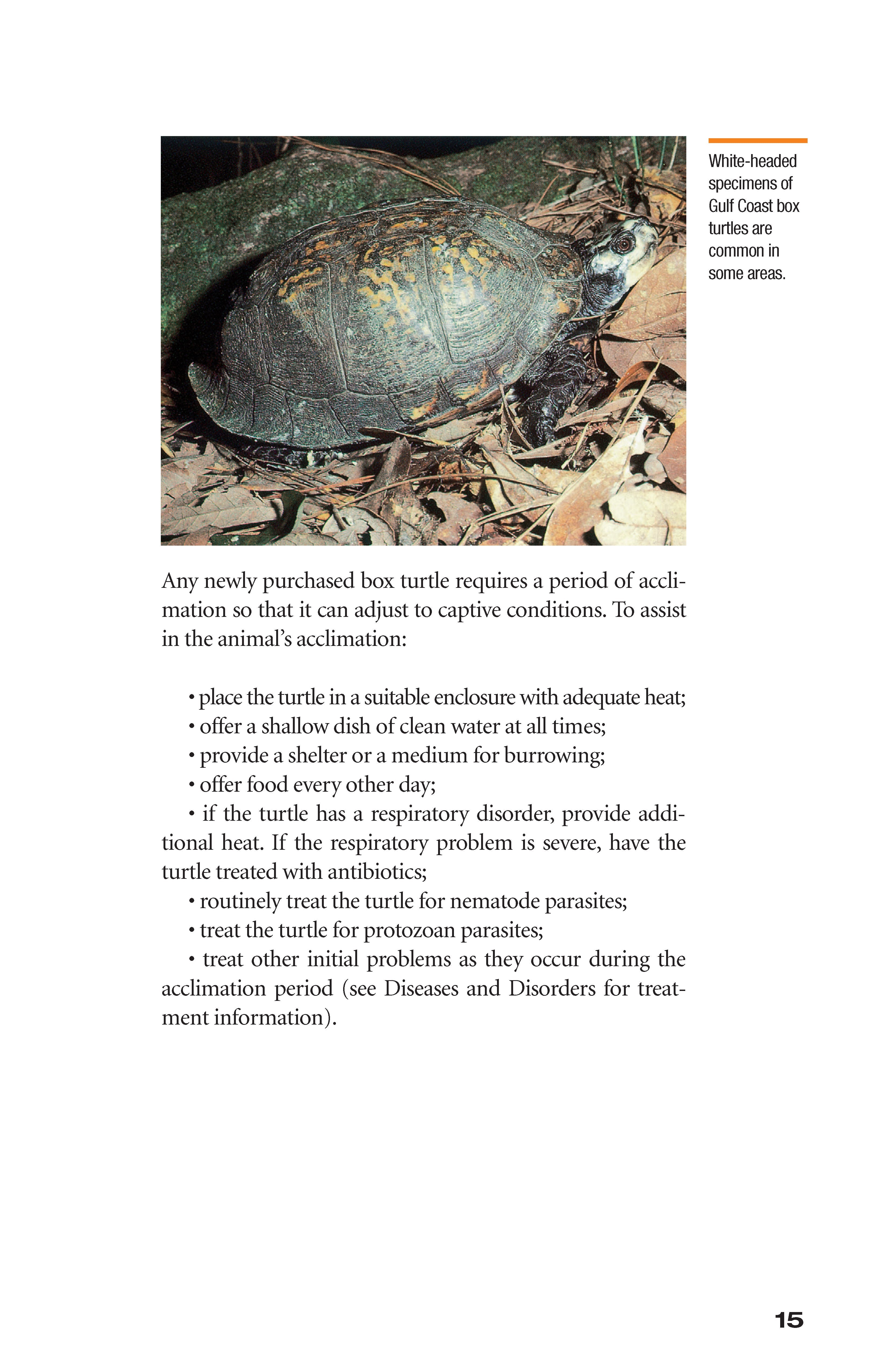 The Box Turtle Manual