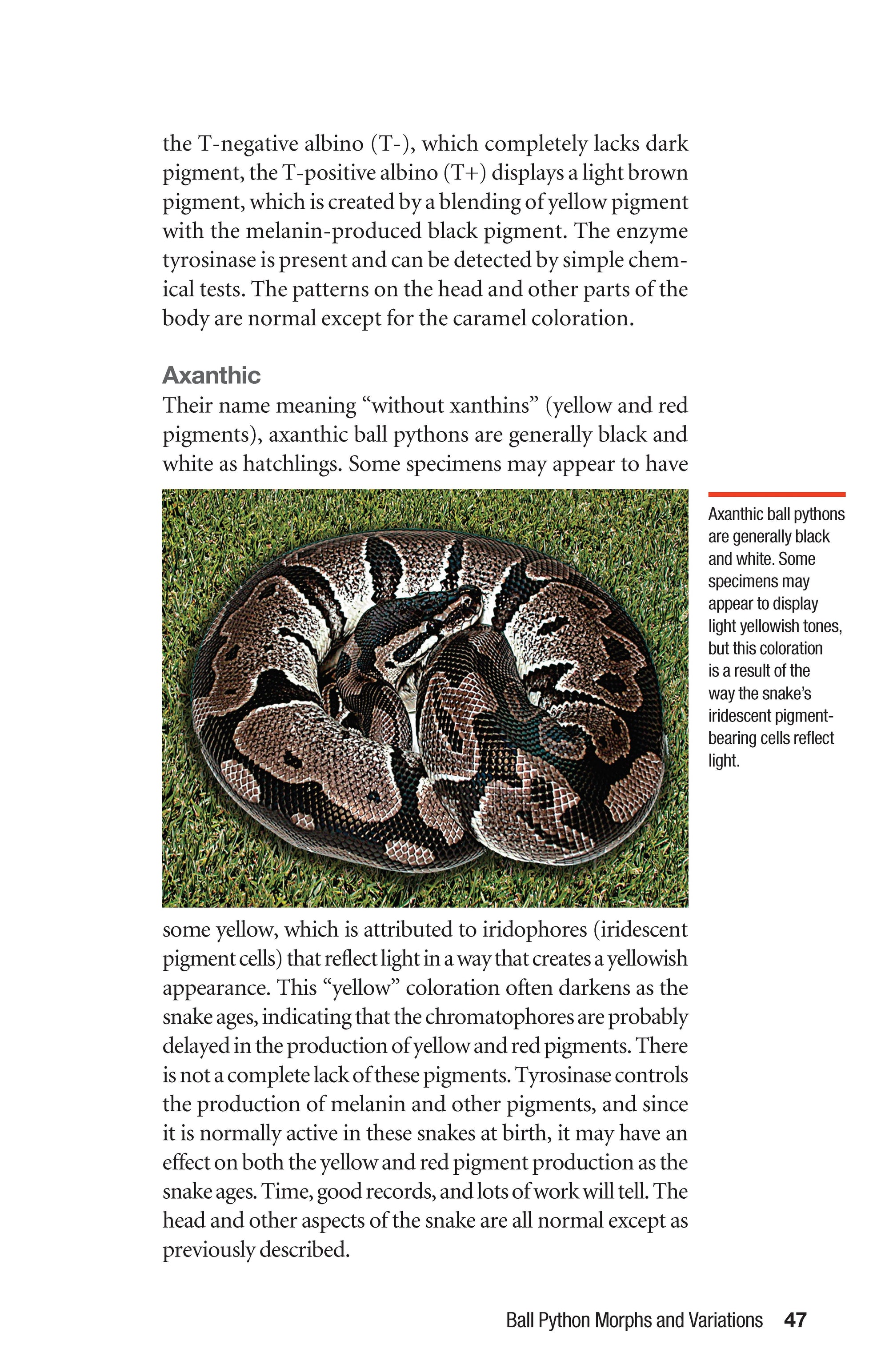 The Ball Python Manual