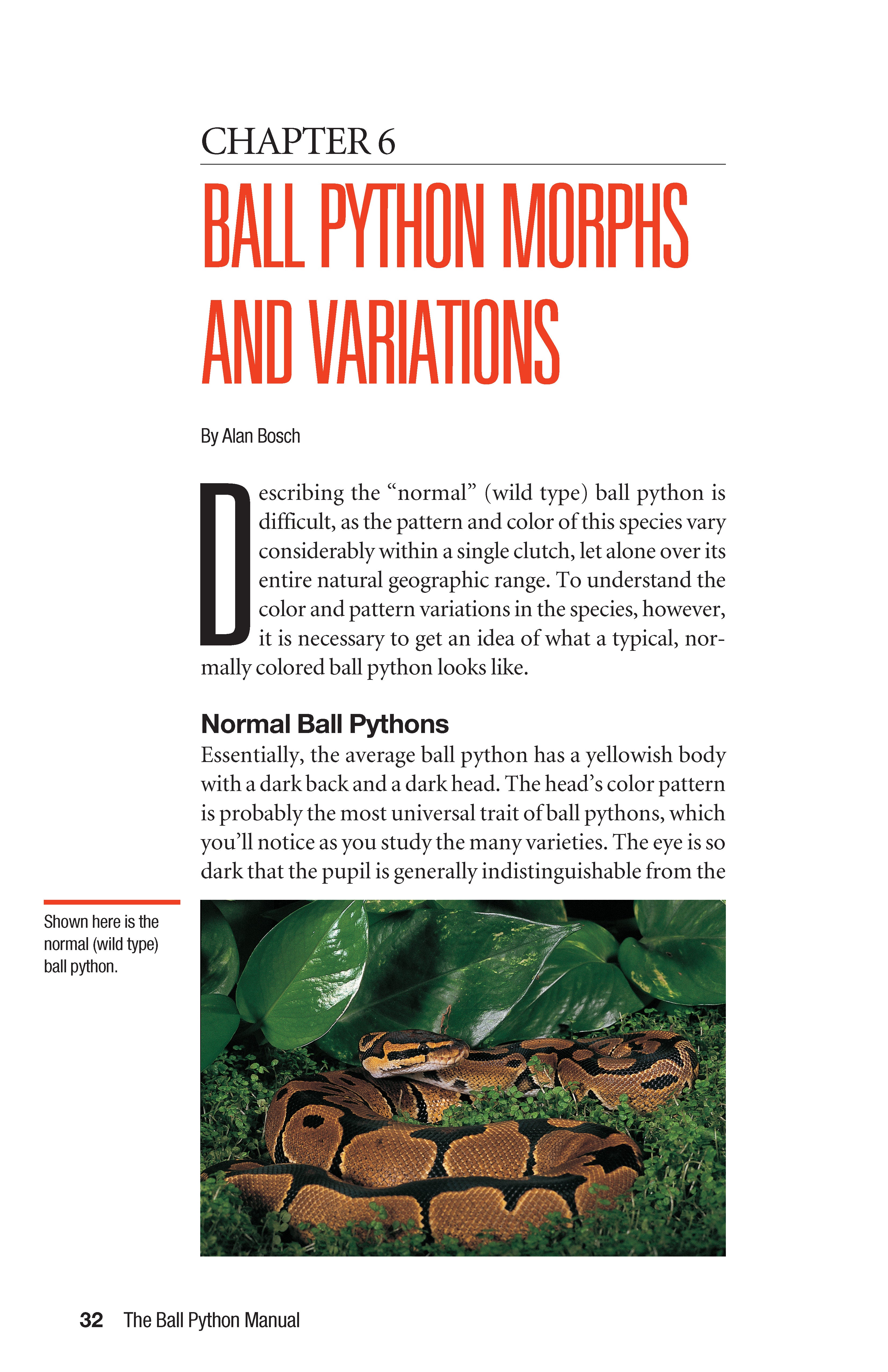 The Ball Python Manual