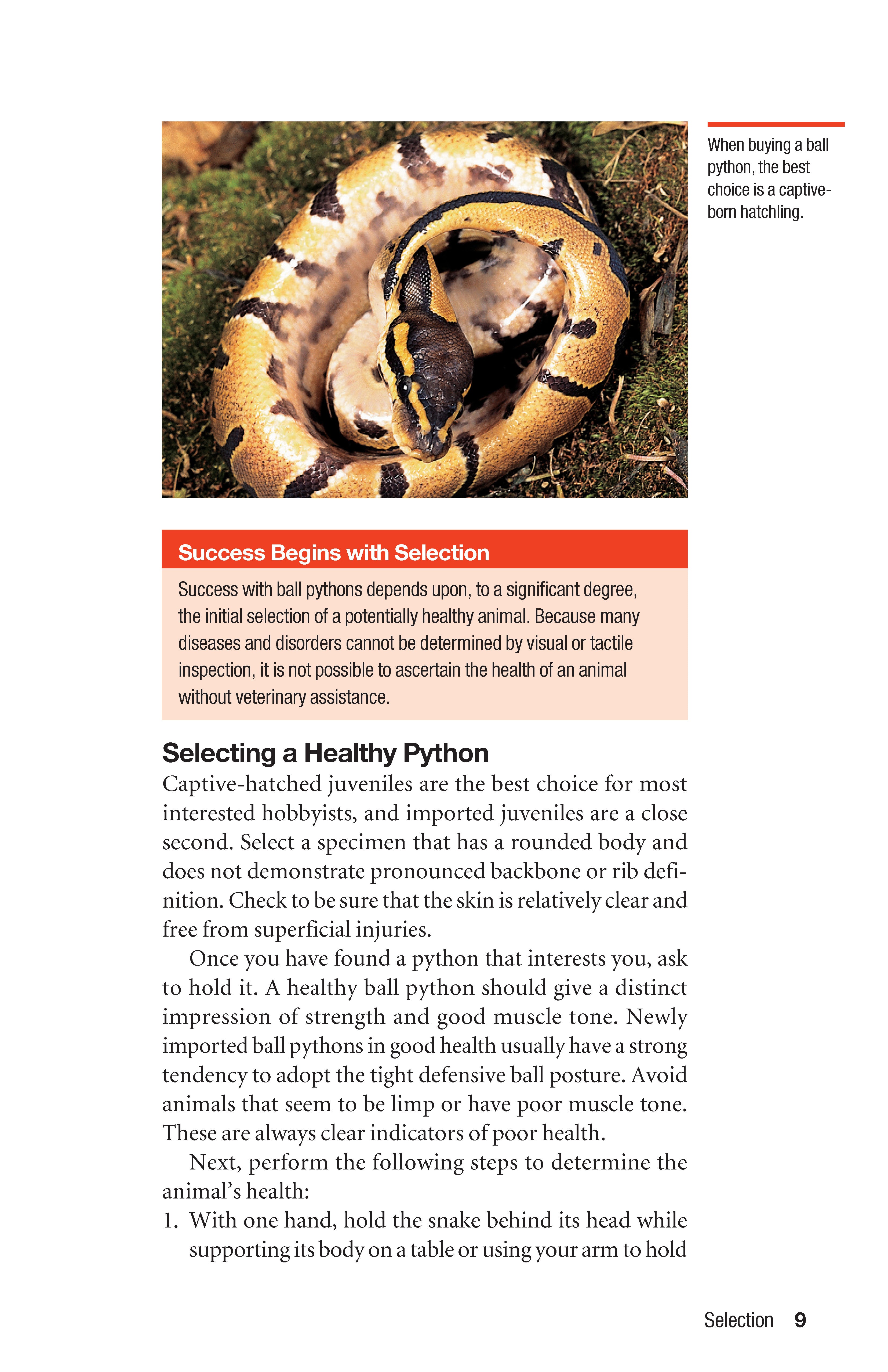 The Ball Python Manual