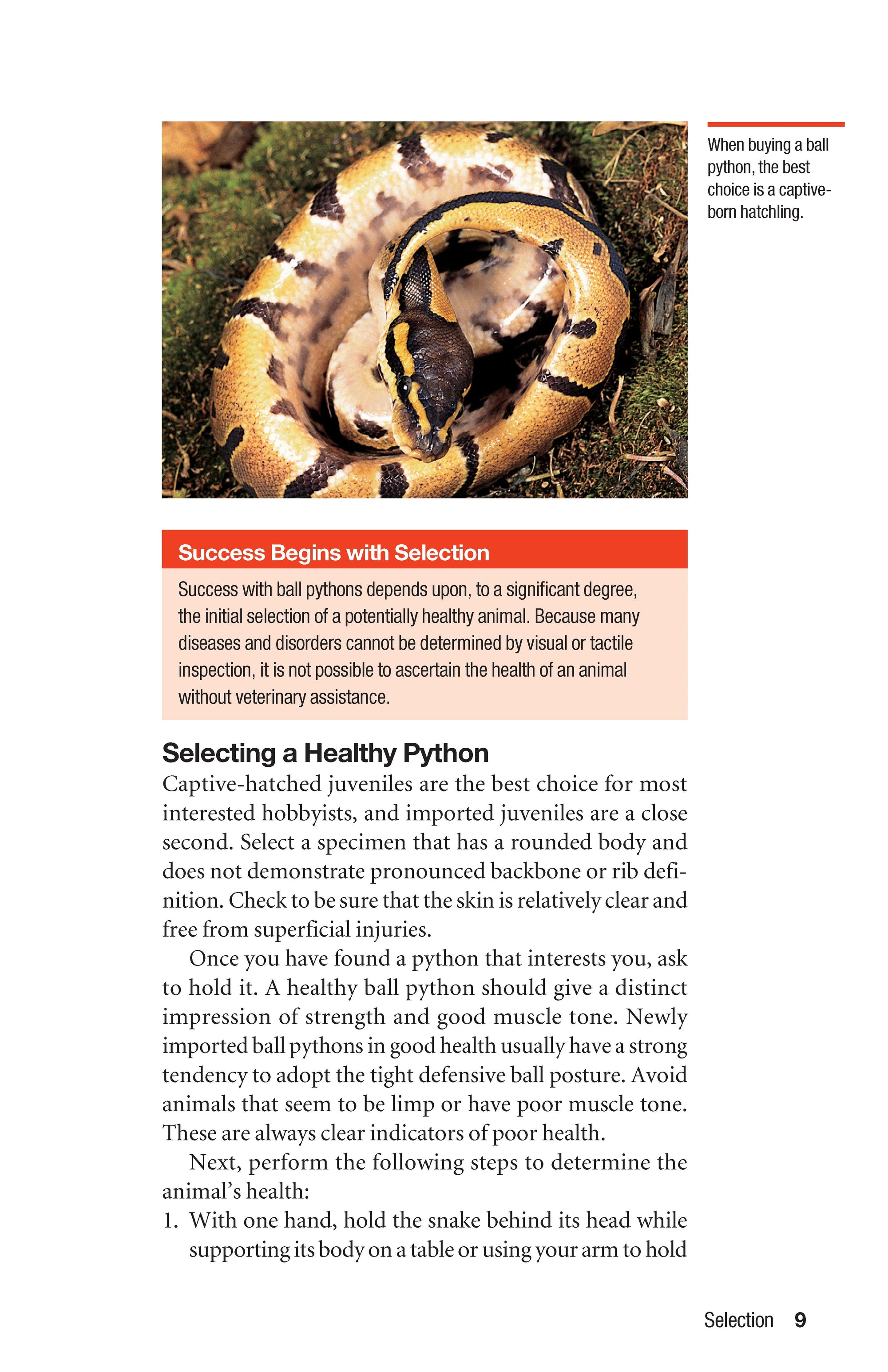 The Ball Python Manual