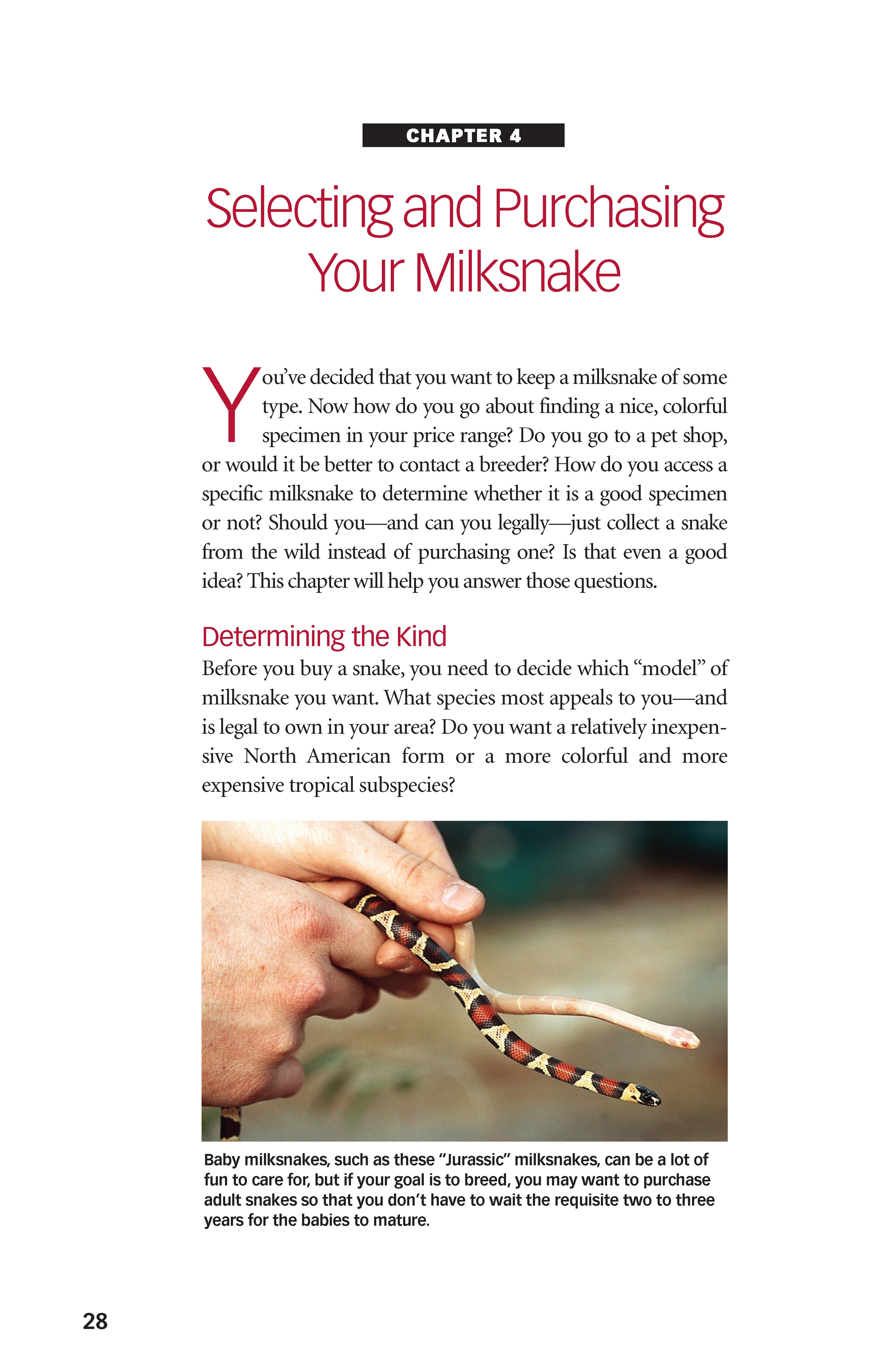 Milksnakes