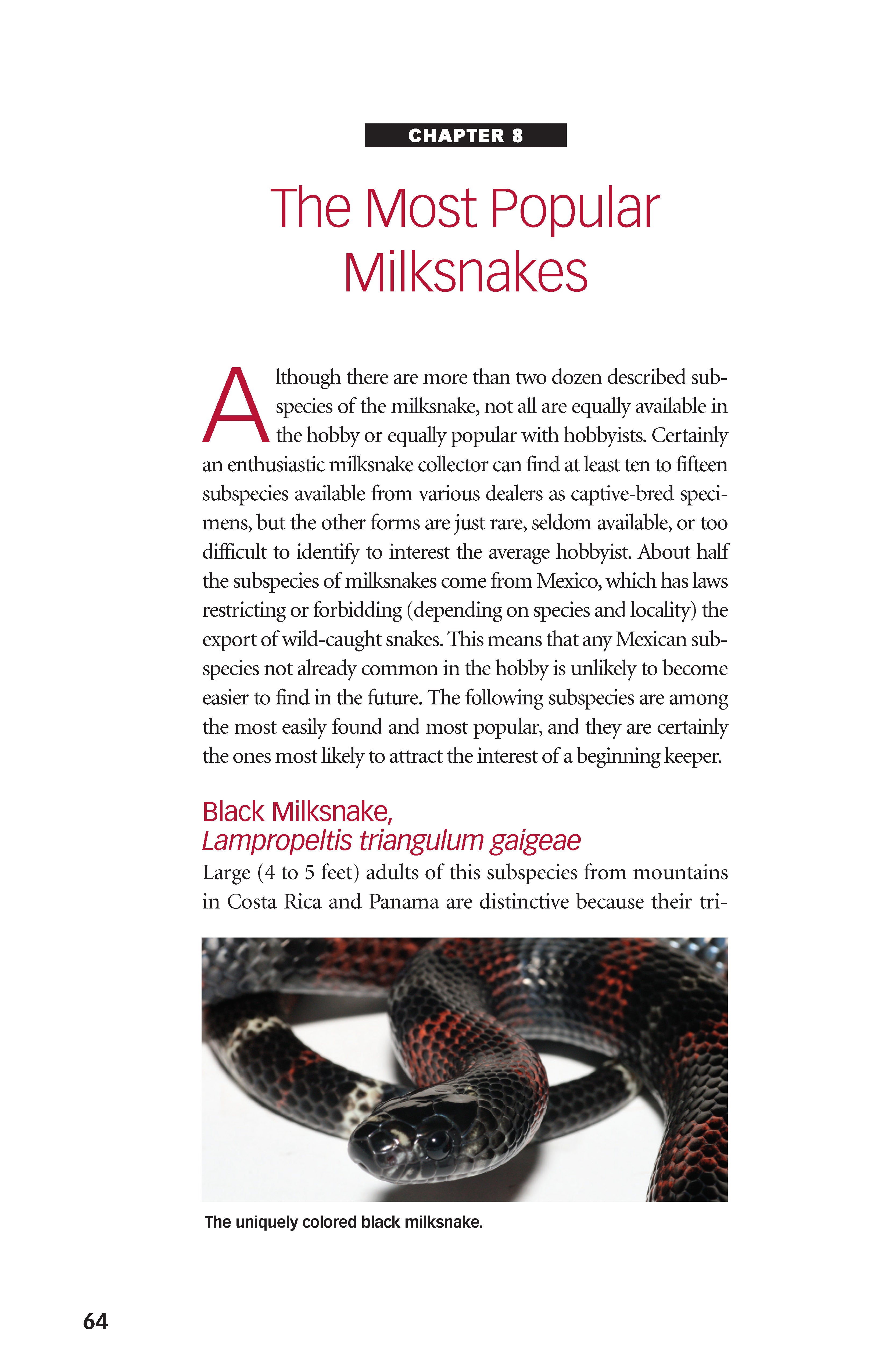 Milksnakes