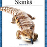 Blue-Tongued Skinks