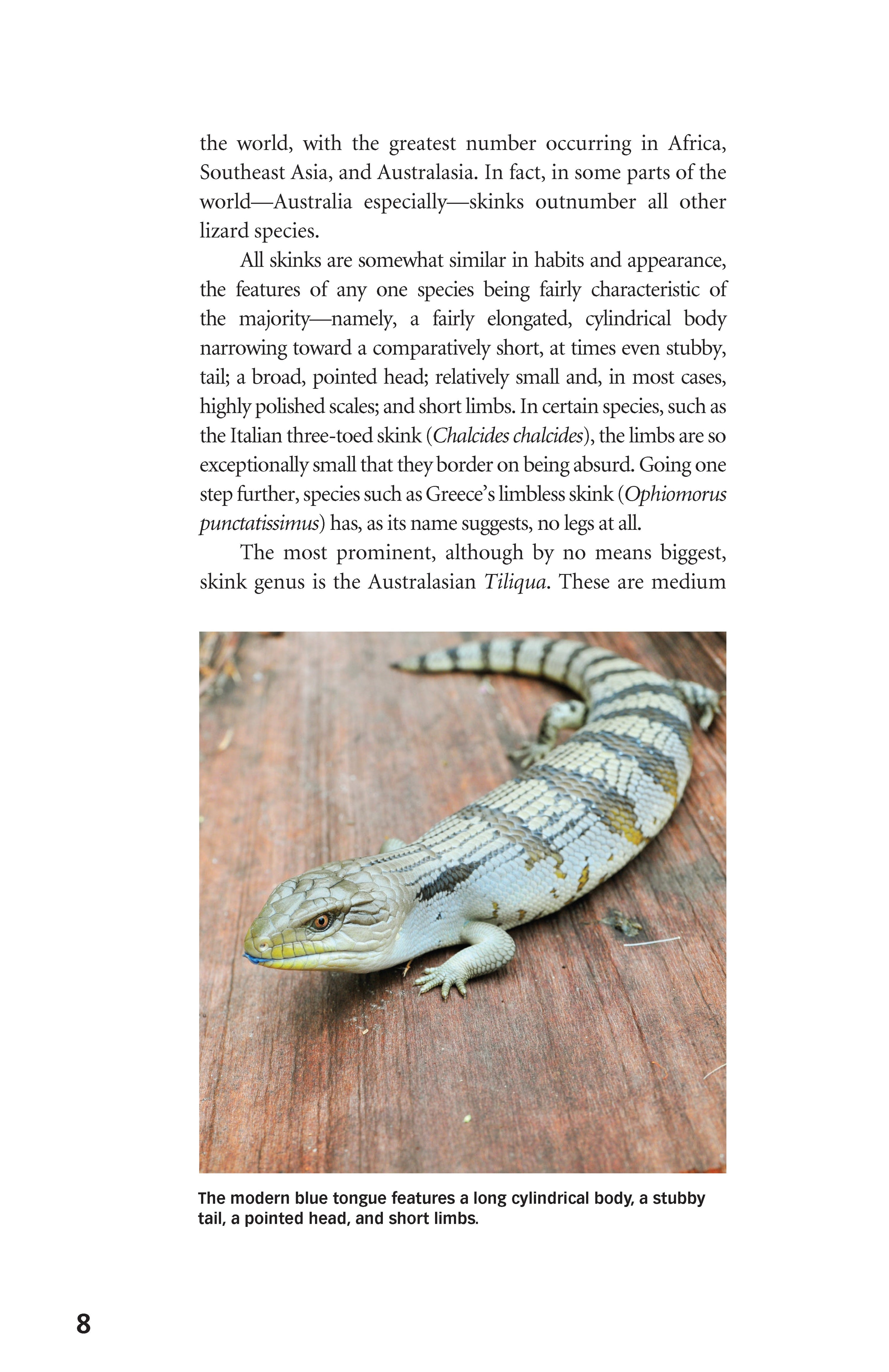 Blue-Tongued Skinks