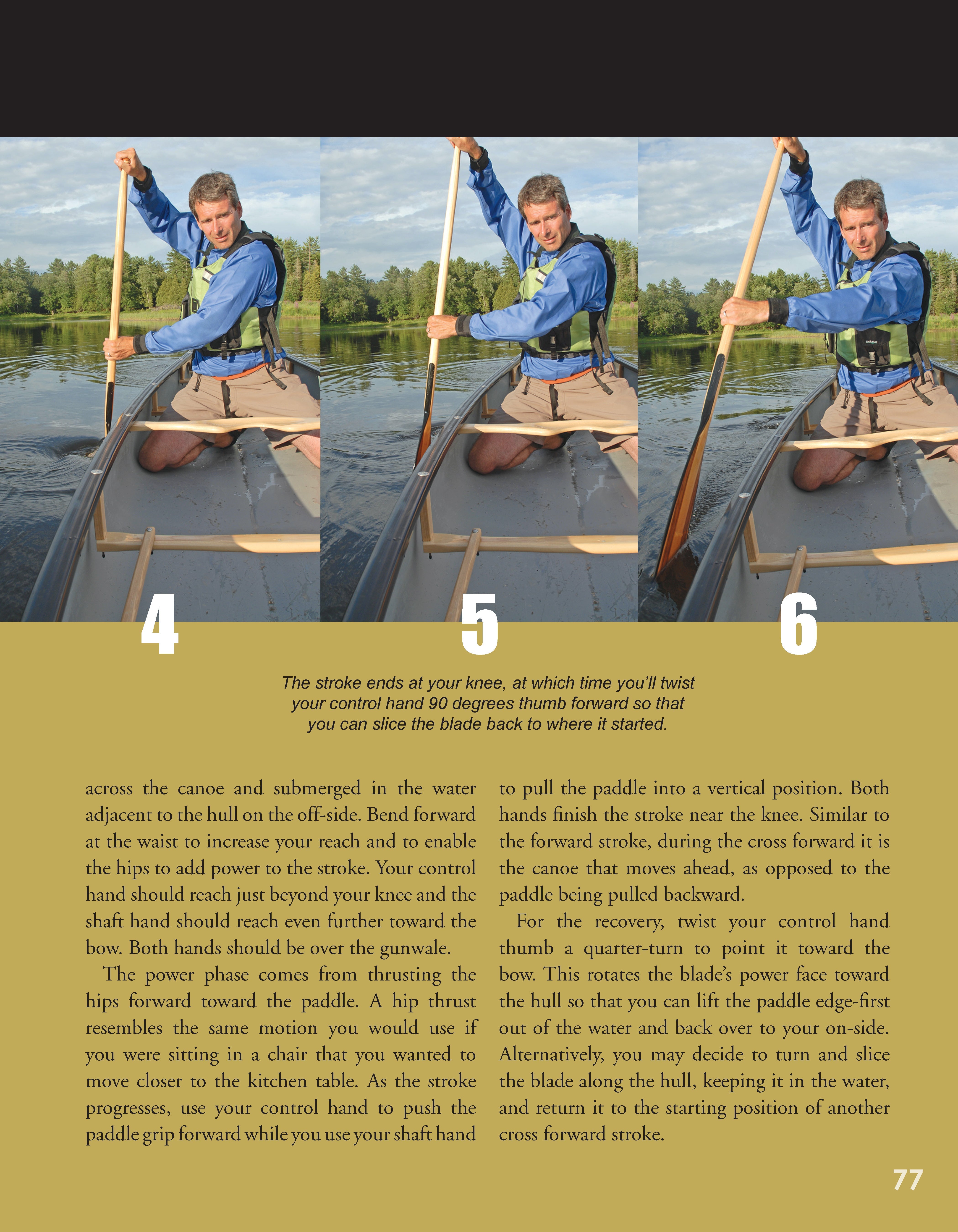 Canoeing The Essential Skills & Safety