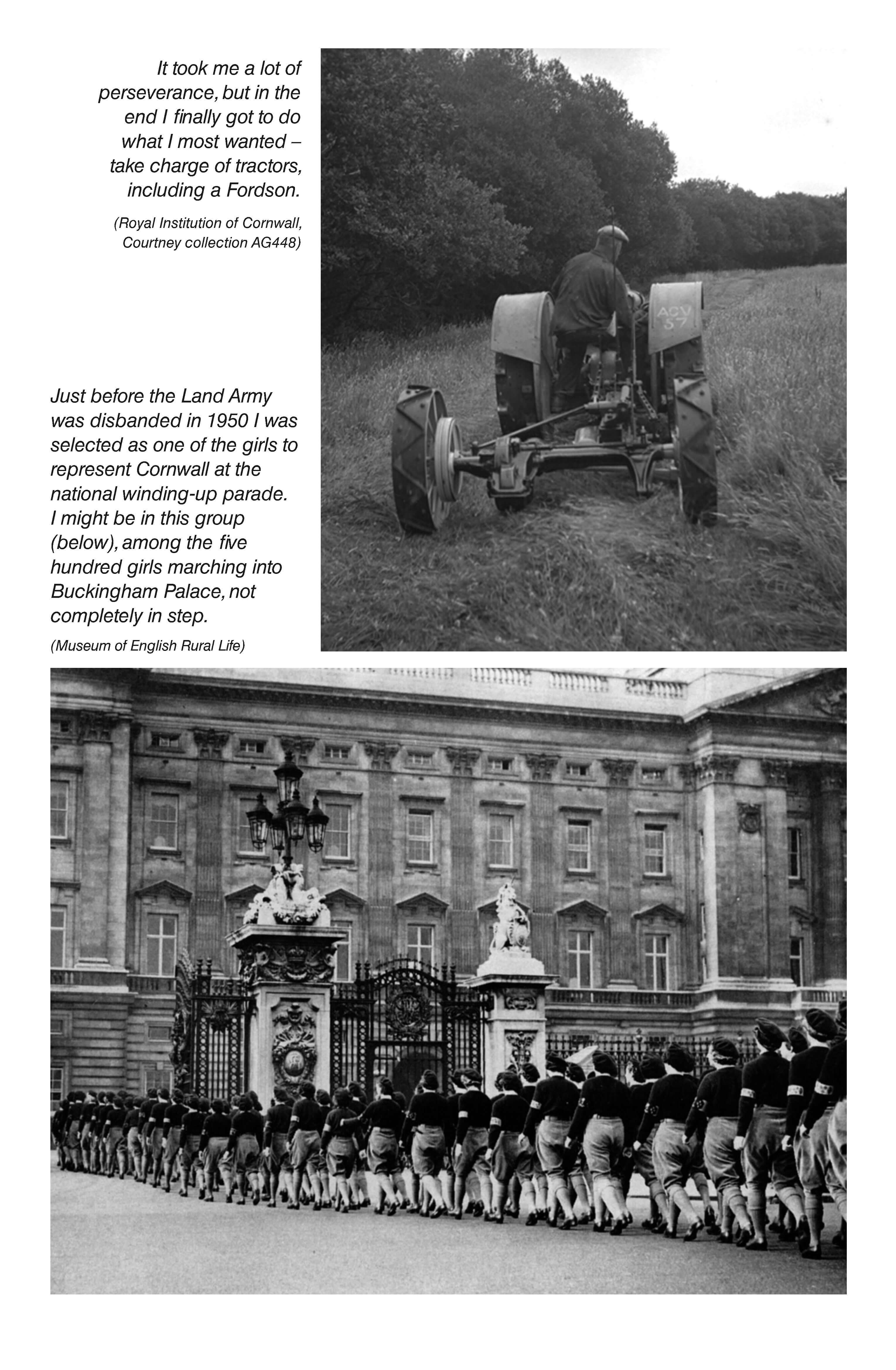 Charismatic Cows and Beefcake Bulls