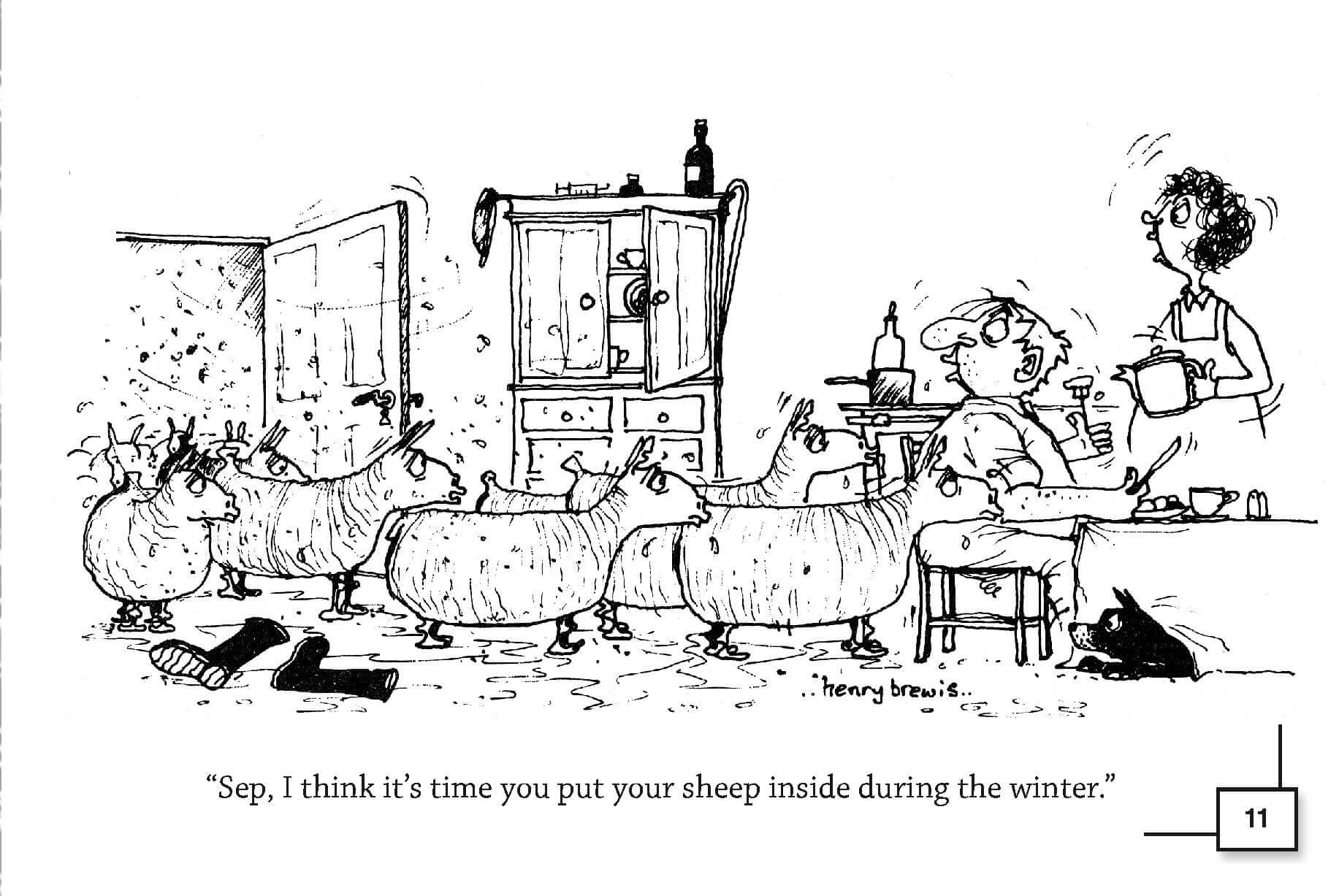 Little Bit O'nonsense About Sheep