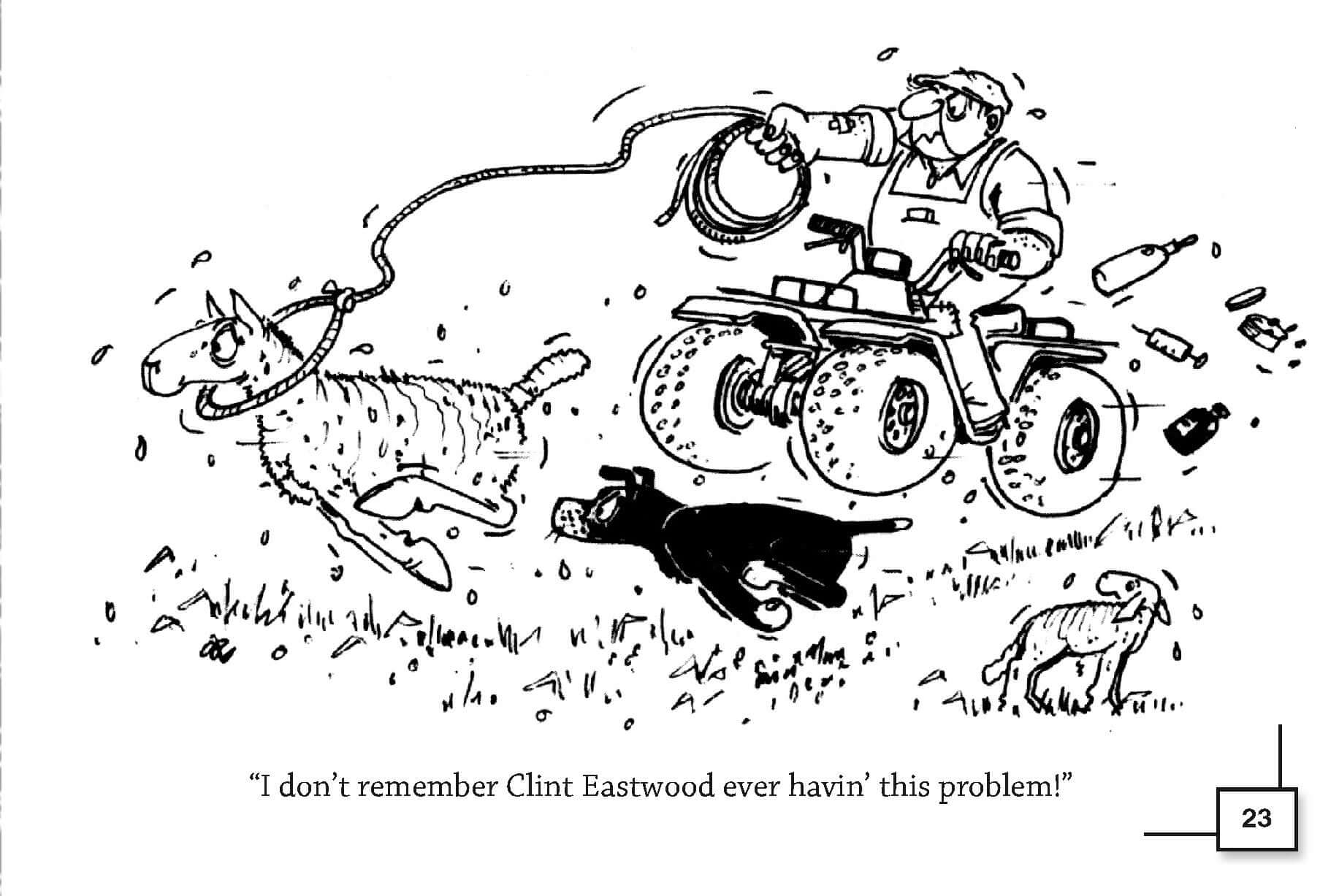 Little Bit Ononsense About Sheep