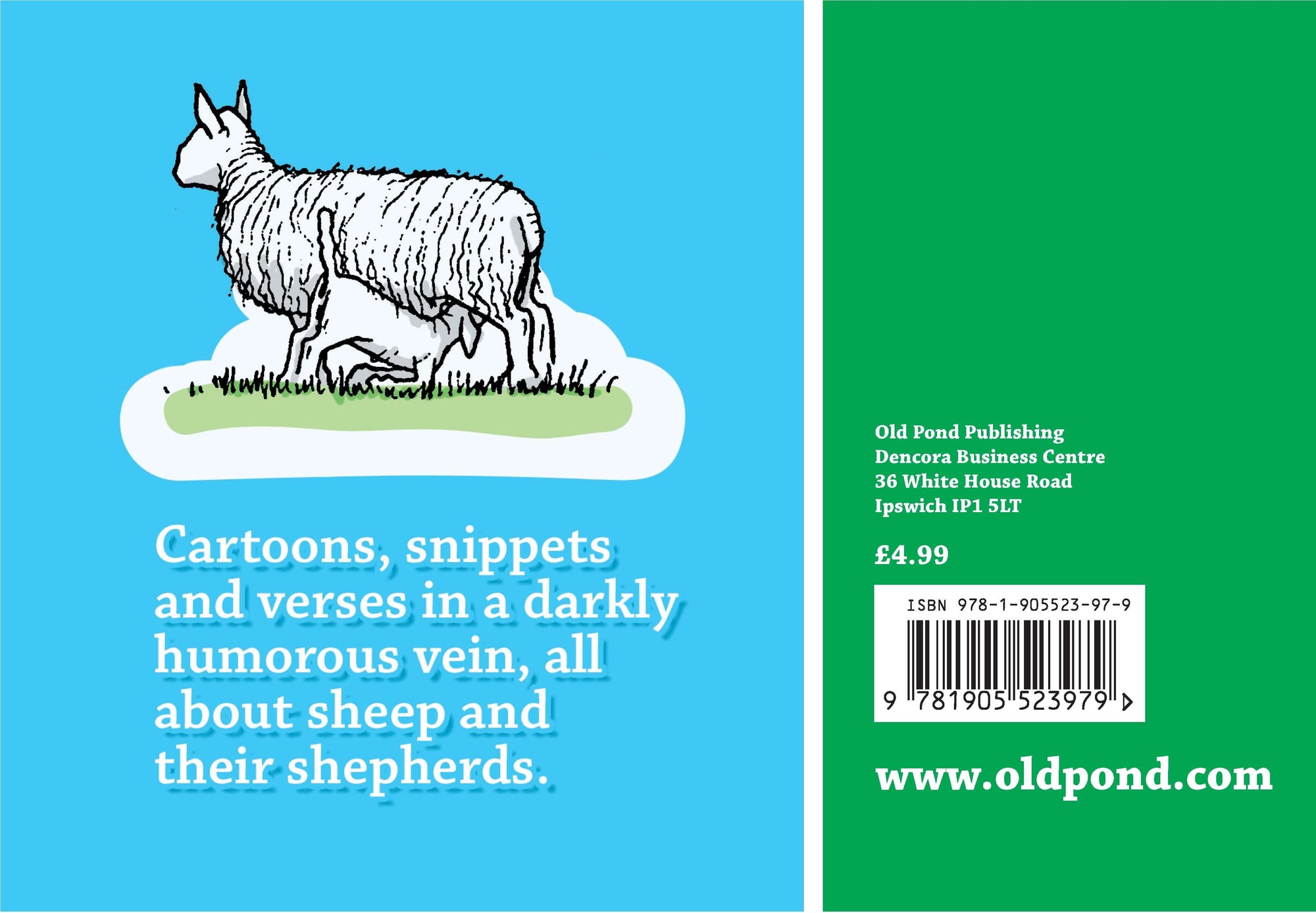 Little Bit Ononsense About Sheep
