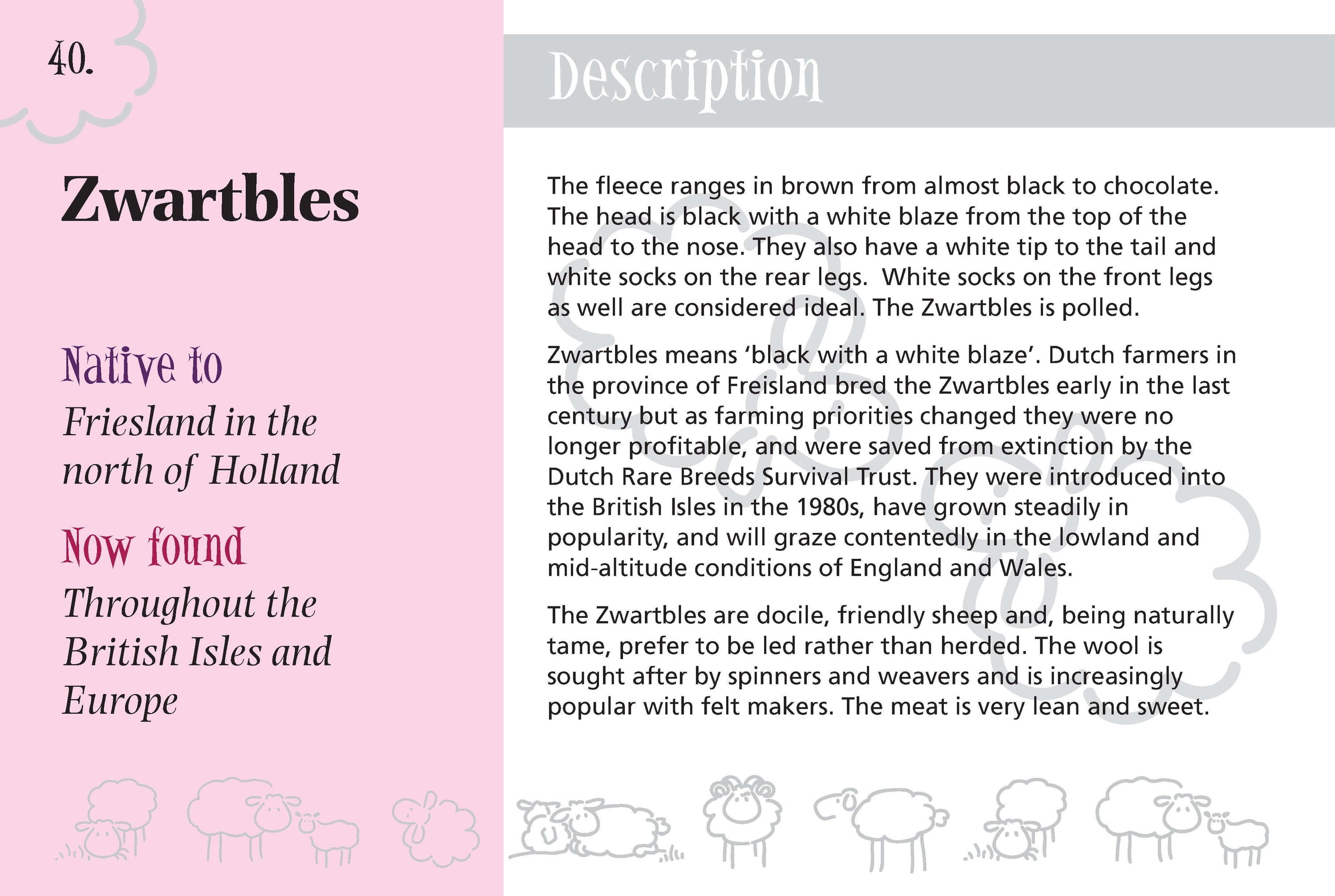 Know More Sheep